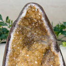 Extra Plus Quality Citrine Cluster w/ flat base, 5.2" Tall 5612 - 0239 - Brazil GemsBrazil GemsExtra Plus Quality Citrine Cluster w/ flat base, 5.2" Tall 5612 - 0239Small Clusters with Flat Bases5612 - 0239