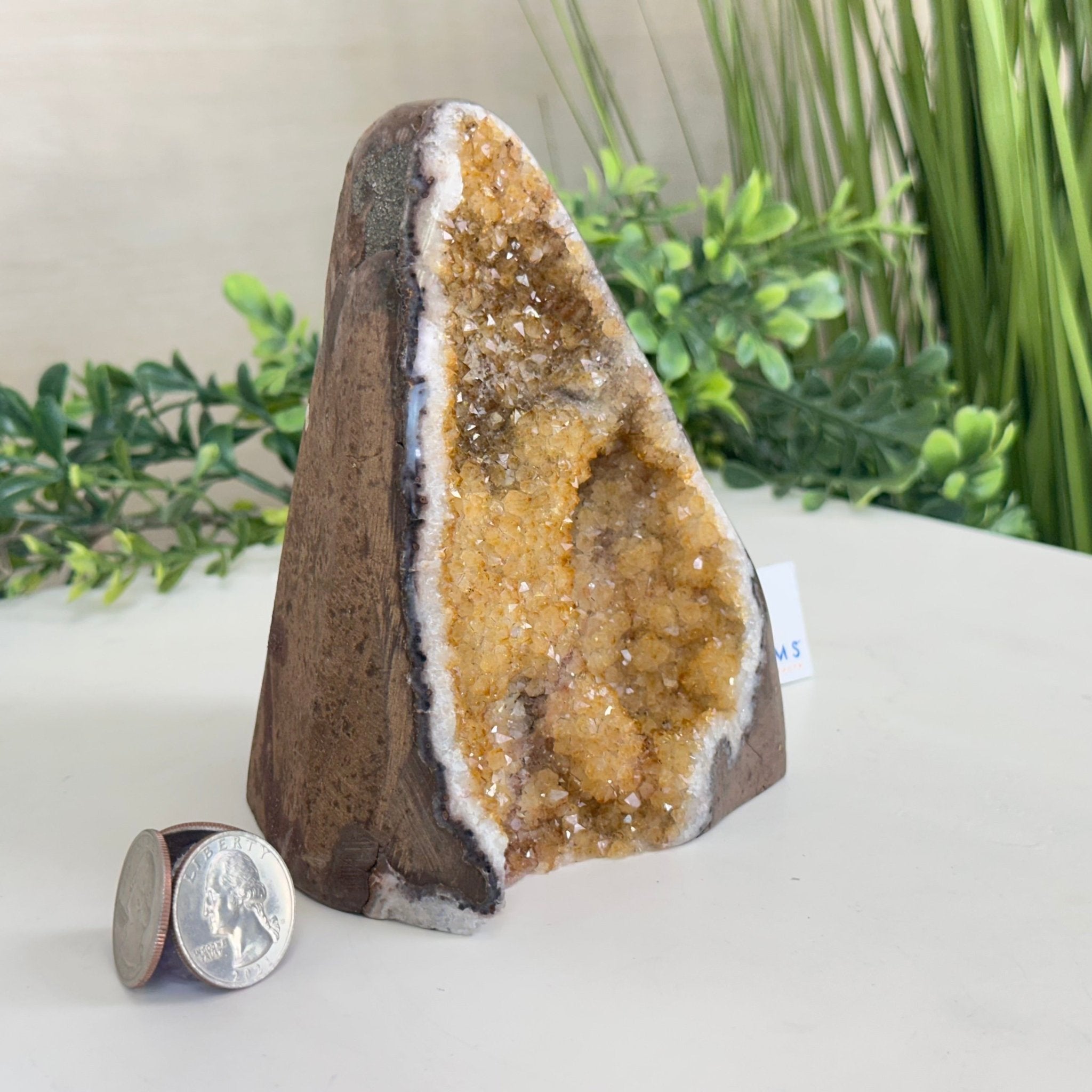 Extra Plus Quality Citrine Cluster w/ flat base, 5.2" Tall 5612 - 0239 - Brazil GemsBrazil GemsExtra Plus Quality Citrine Cluster w/ flat base, 5.2" Tall 5612 - 0239Small Clusters with Flat Bases5612 - 0239