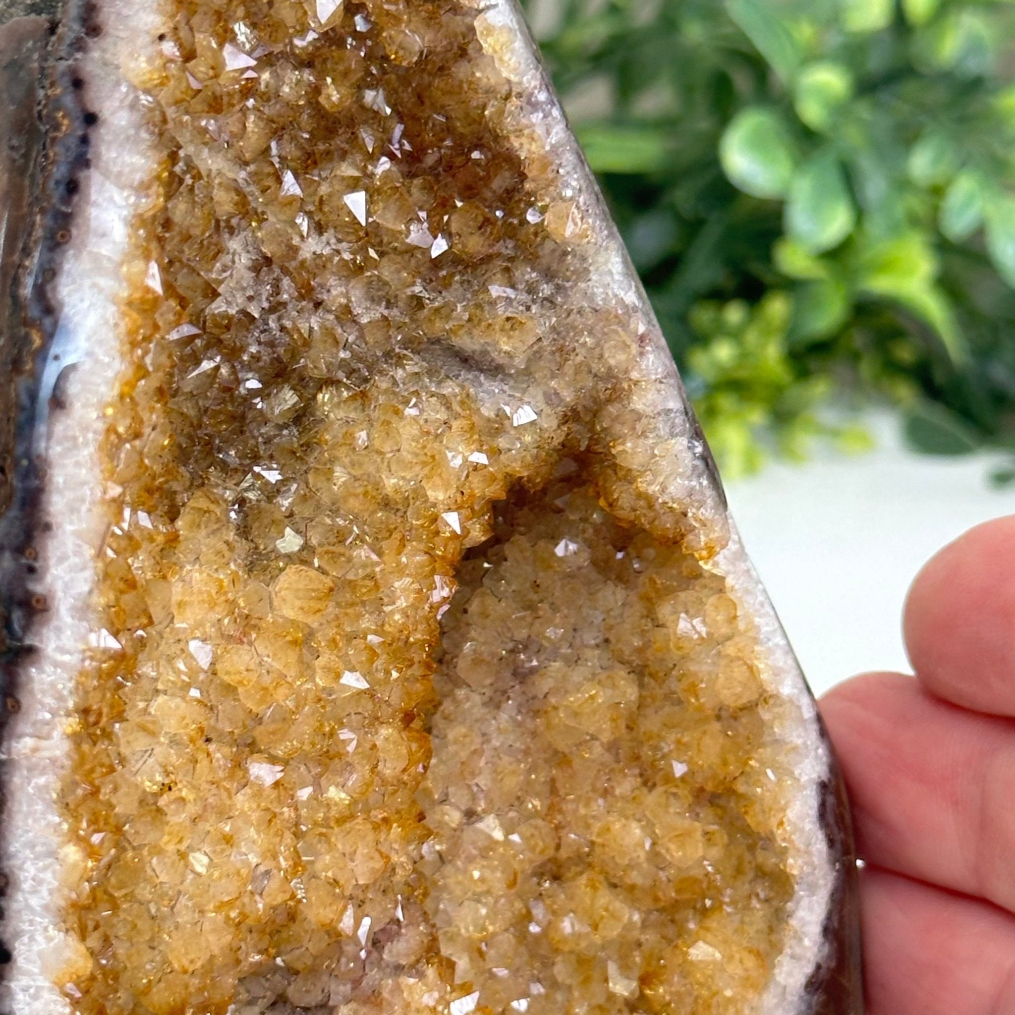 Extra Plus Quality Citrine Cluster w/ flat base, 5.2" Tall 5612 - 0239 - Brazil GemsBrazil GemsExtra Plus Quality Citrine Cluster w/ flat base, 5.2" Tall 5612 - 0239Small Clusters with Flat Bases5612 - 0239