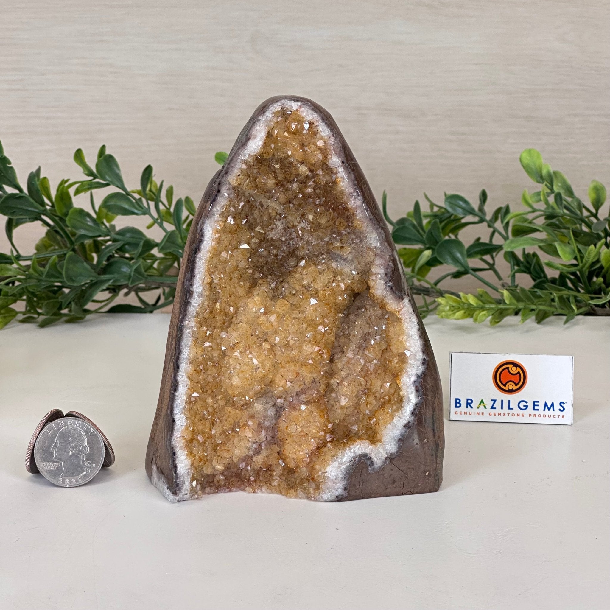 Extra Plus Quality Citrine Cluster w/ flat base, 5.2" Tall 5612 - 0239 - Brazil GemsBrazil GemsExtra Plus Quality Citrine Cluster w/ flat base, 5.2" Tall 5612 - 0239Small Clusters with Flat Bases5612 - 0239