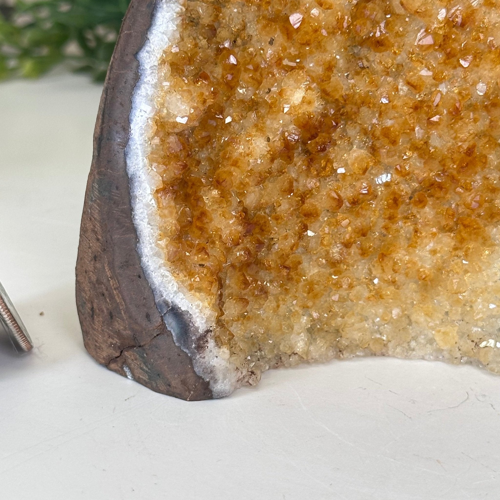 Extra Plus Quality Citrine Cluster w/ flat base, 5.5" Tall 5612 - 0233 - Brazil GemsBrazil GemsExtra Plus Quality Citrine Cluster w/ flat base, 5.5" Tall 5612 - 0233Small Clusters with Flat Bases5612 - 0233
