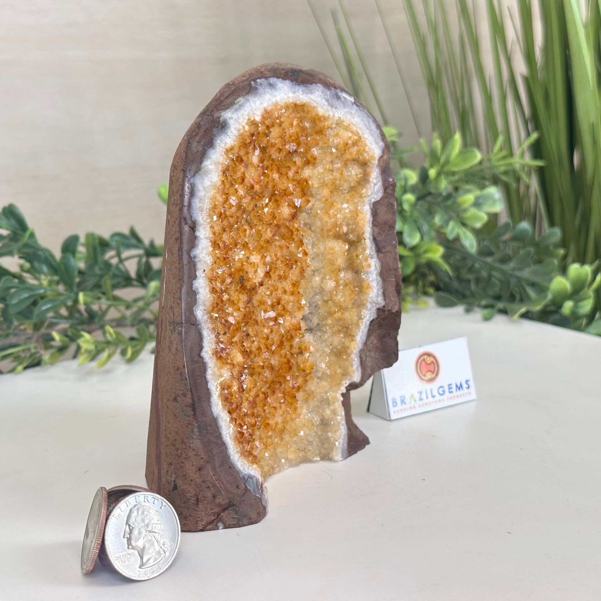 Extra Plus Quality Citrine Cluster w/ flat base, 5.5" Tall 5612 - 0233 - Brazil GemsBrazil GemsExtra Plus Quality Citrine Cluster w/ flat base, 5.5" Tall 5612 - 0233Small Clusters with Flat Bases5612 - 0233