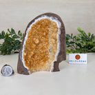 Extra Plus Quality Citrine Cluster w/ flat base, 5.5" Tall 5612 - 0233 - Brazil GemsBrazil GemsExtra Plus Quality Citrine Cluster w/ flat base, 5.5" Tall 5612 - 0233Small Clusters with Flat Bases5612 - 0233