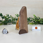 Extra Plus Quality Citrine Cluster w/ flat base, 5.5" Tall 5612 - 0233 - Brazil GemsBrazil GemsExtra Plus Quality Citrine Cluster w/ flat base, 5.5" Tall 5612 - 0233Small Clusters with Flat Bases5612 - 0233