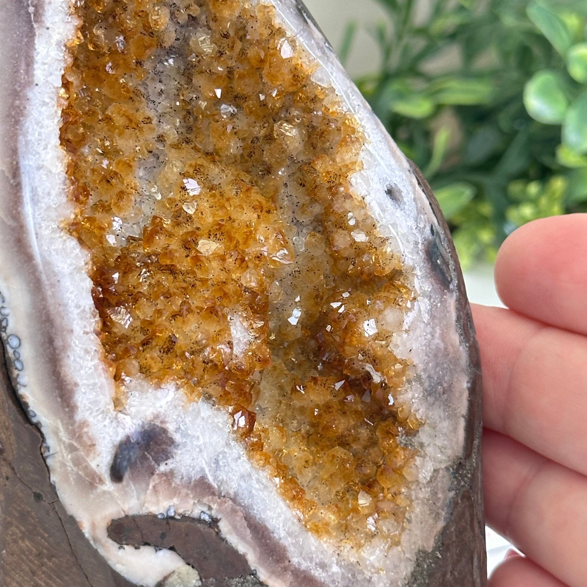 Extra Plus Quality Citrine Cluster w/ flat base, 5.6" Tall 5612 - 0235 - Brazil GemsBrazil GemsExtra Plus Quality Citrine Cluster w/ flat base, 5.6" Tall 5612 - 0235Small Clusters with Flat Bases5612 - 0235