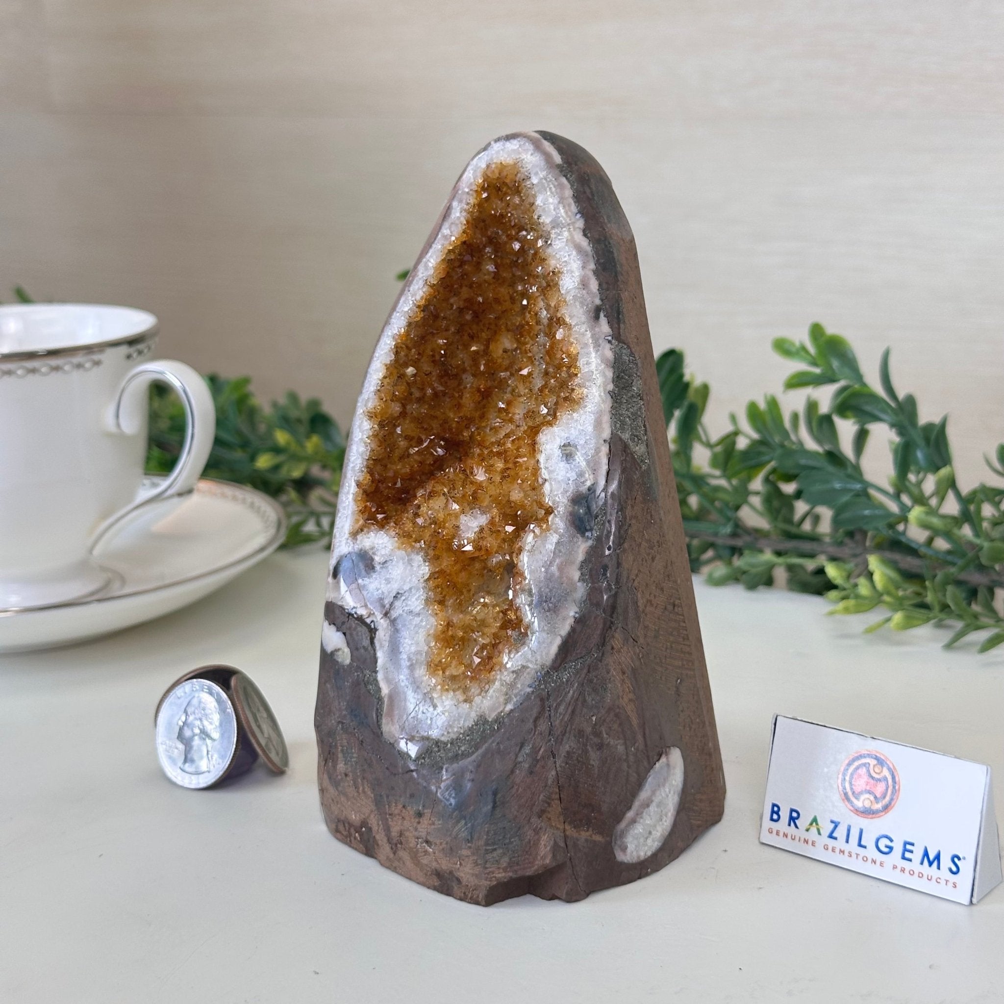 Extra Plus Quality Citrine Cluster w/ flat base, 5.6" Tall 5612 - 0235 - Brazil GemsBrazil GemsExtra Plus Quality Citrine Cluster w/ flat base, 5.6" Tall 5612 - 0235Small Clusters with Flat Bases5612 - 0235