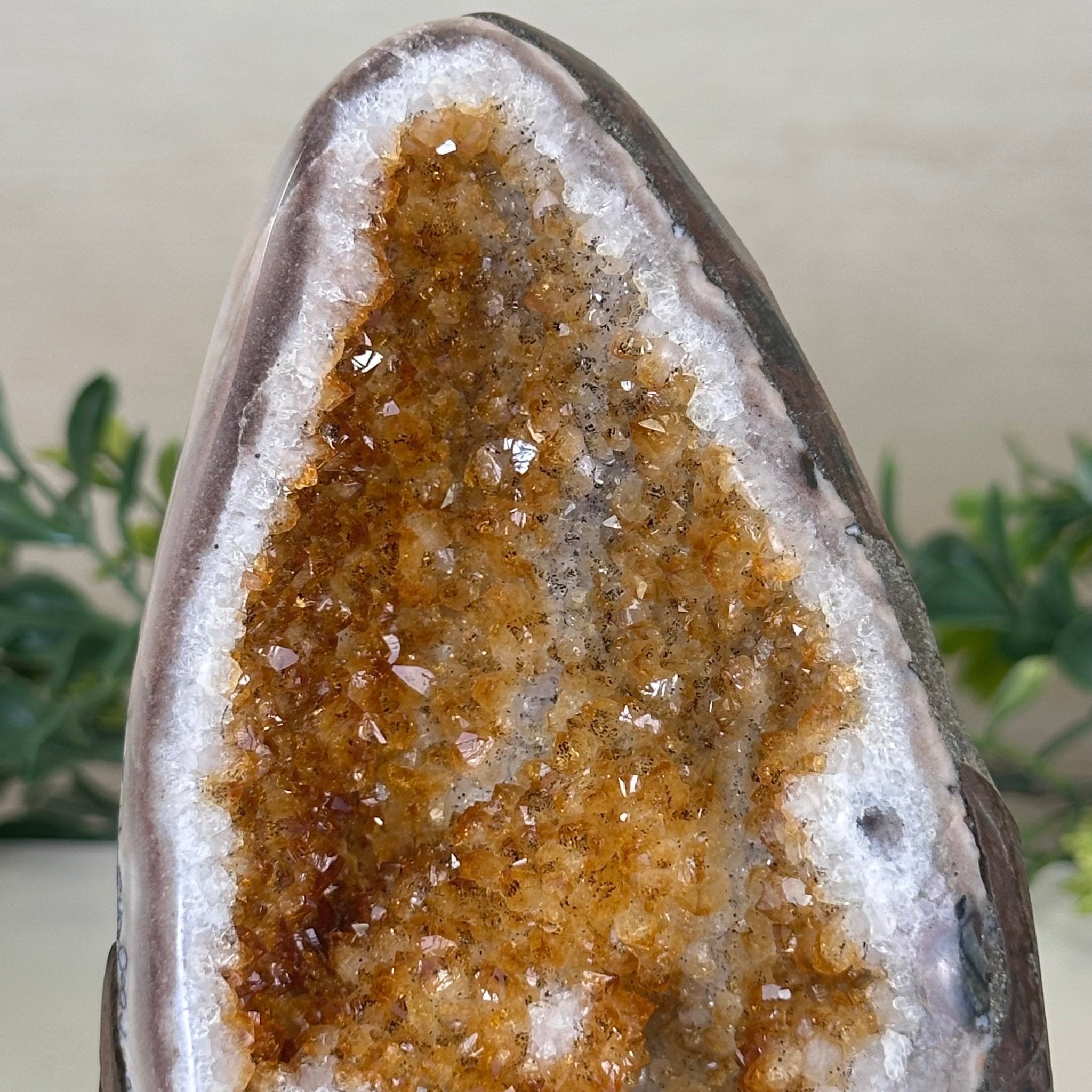 Extra Plus Quality Citrine Cluster w/ flat base, 5.6" Tall 5612 - 0235 - Brazil GemsBrazil GemsExtra Plus Quality Citrine Cluster w/ flat base, 5.6" Tall 5612 - 0235Small Clusters with Flat Bases5612 - 0235