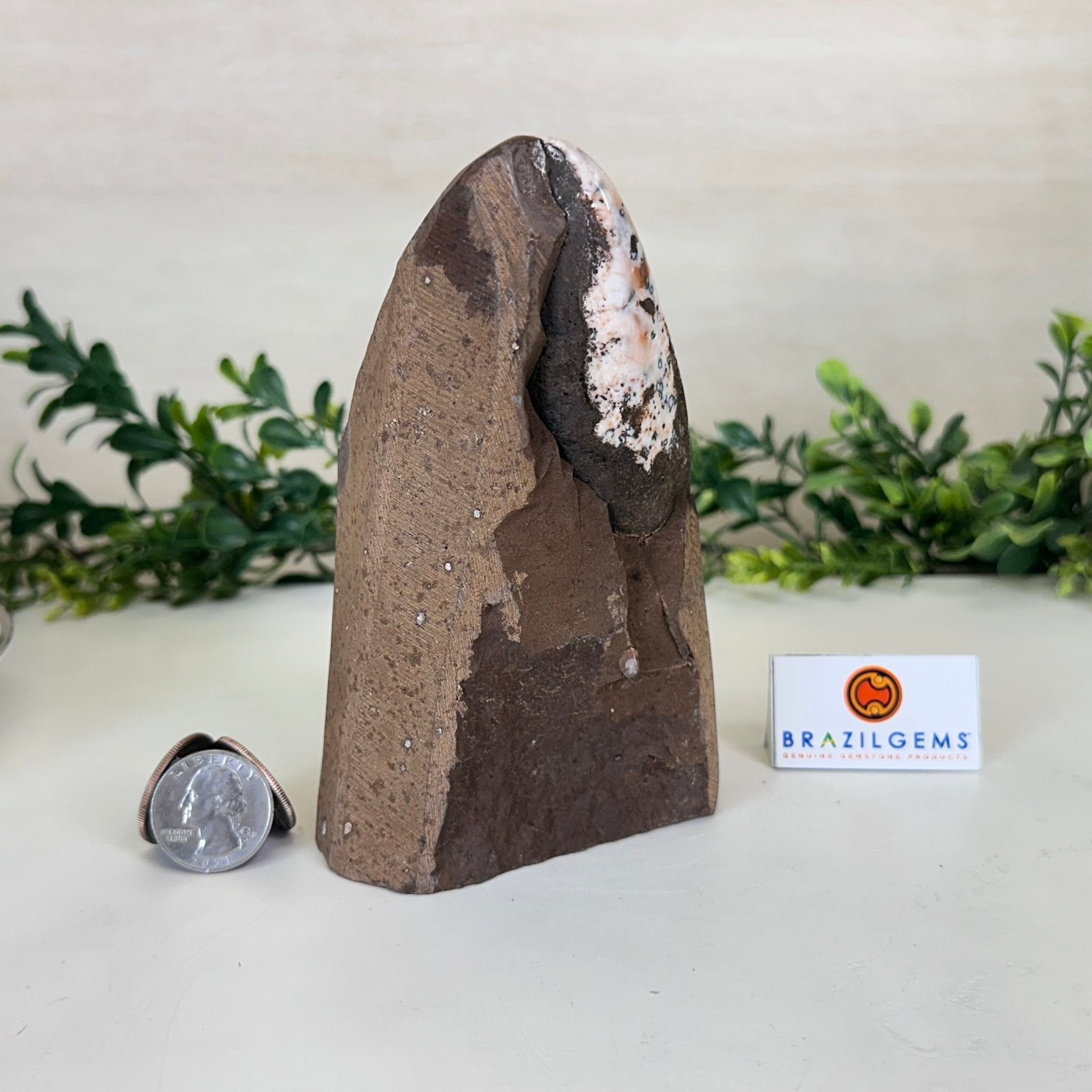 Extra Plus Quality Citrine Cluster w/ flat base, 5.6" Tall 5612 - 0235 - Brazil GemsBrazil GemsExtra Plus Quality Citrine Cluster w/ flat base, 5.6" Tall 5612 - 0235Small Clusters with Flat Bases5612 - 0235