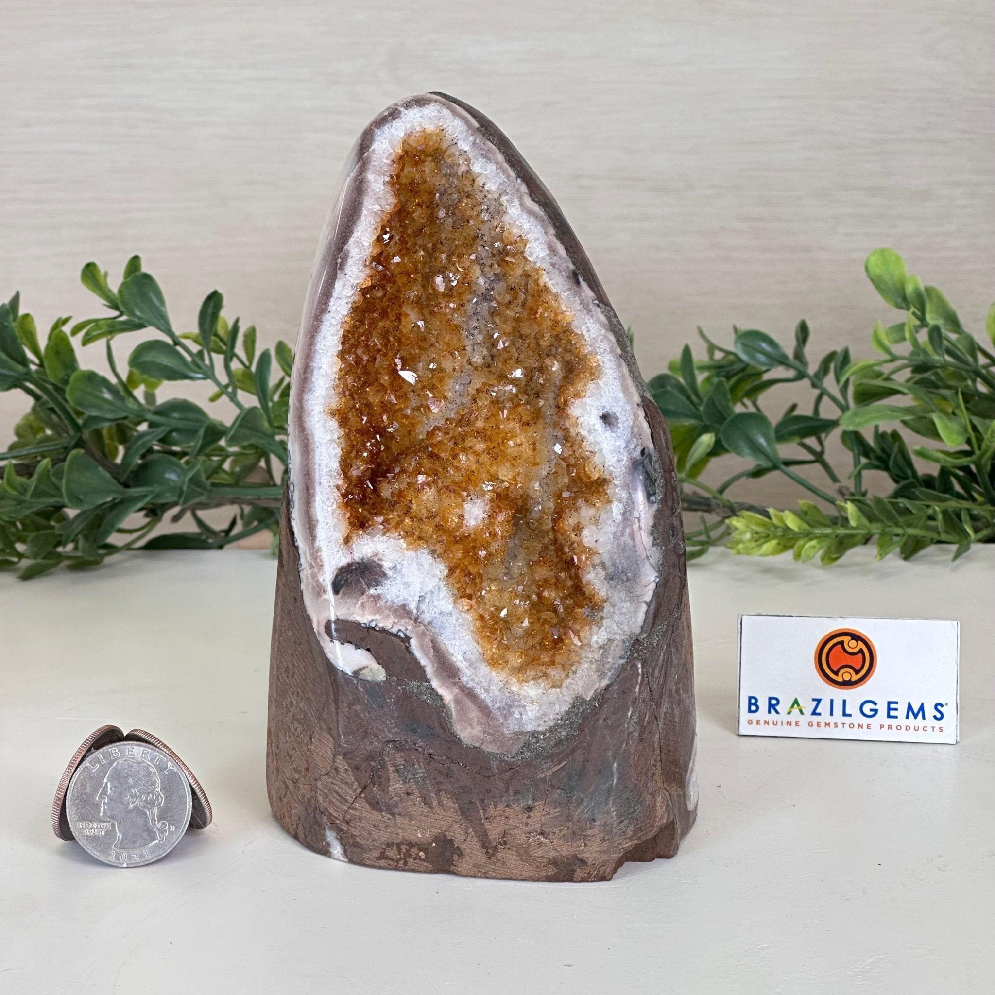 Extra Plus Quality Citrine Cluster w/ flat base, 5.6" Tall 5612 - 0235 - Brazil GemsBrazil GemsExtra Plus Quality Citrine Cluster w/ flat base, 5.6" Tall 5612 - 0235Small Clusters with Flat Bases5612 - 0235