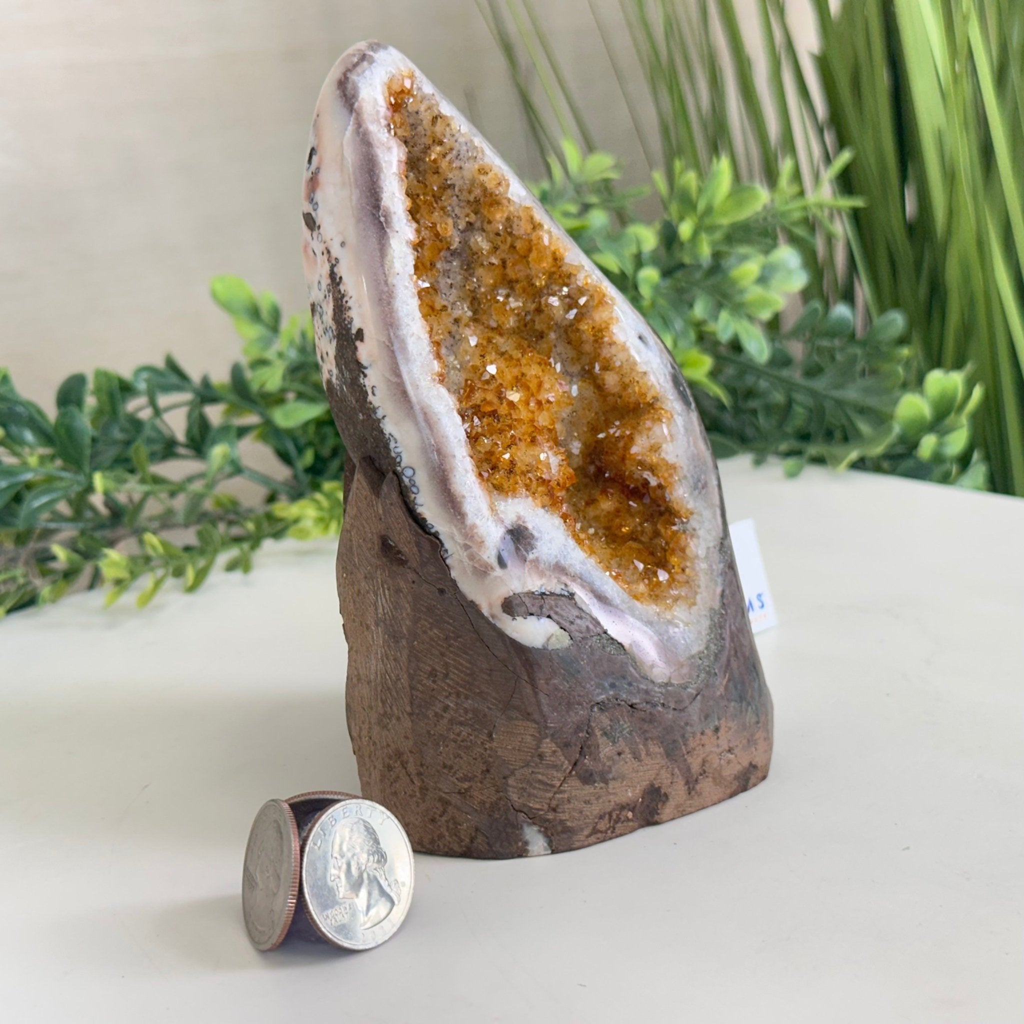Extra Plus Quality Citrine Cluster w/ flat base, 5.6" Tall 5612 - 0235 - Brazil GemsBrazil GemsExtra Plus Quality Citrine Cluster w/ flat base, 5.6" Tall 5612 - 0235Small Clusters with Flat Bases5612 - 0235