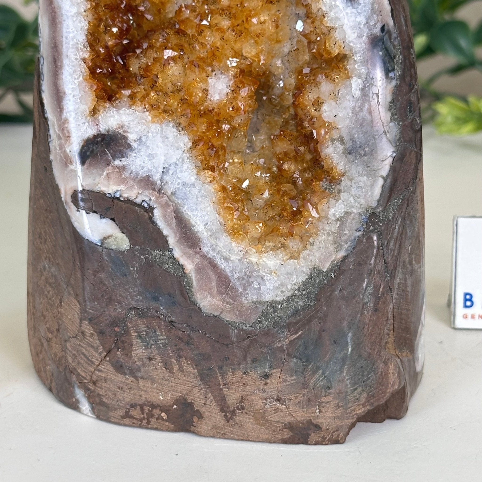Extra Plus Quality Citrine Cluster w/ flat base, 5.6" Tall 5612 - 0235 - Brazil GemsBrazil GemsExtra Plus Quality Citrine Cluster w/ flat base, 5.6" Tall 5612 - 0235Small Clusters with Flat Bases5612 - 0235