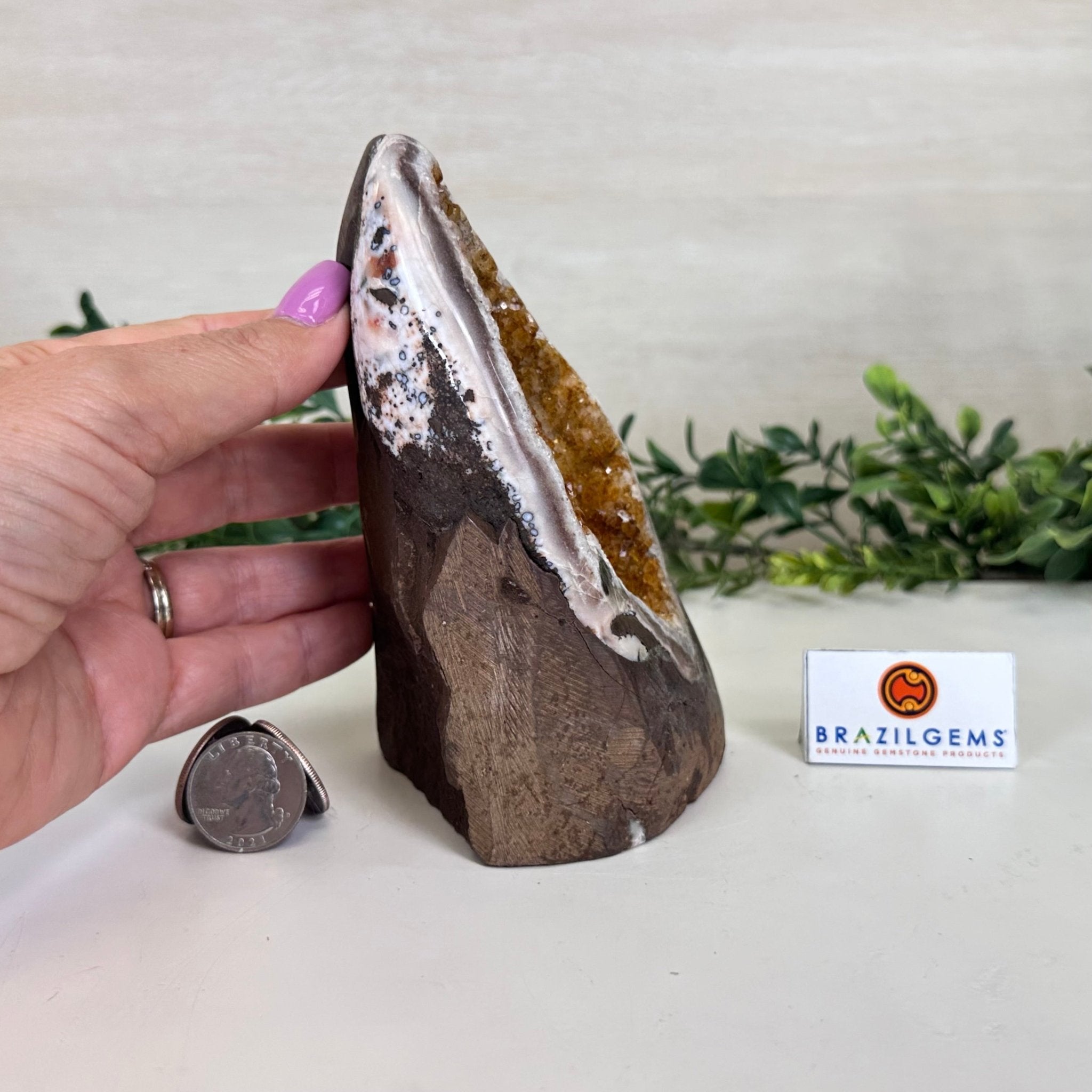 Extra Plus Quality Citrine Cluster w/ flat base, 5.6" Tall 5612 - 0235 - Brazil GemsBrazil GemsExtra Plus Quality Citrine Cluster w/ flat base, 5.6" Tall 5612 - 0235Small Clusters with Flat Bases5612 - 0235