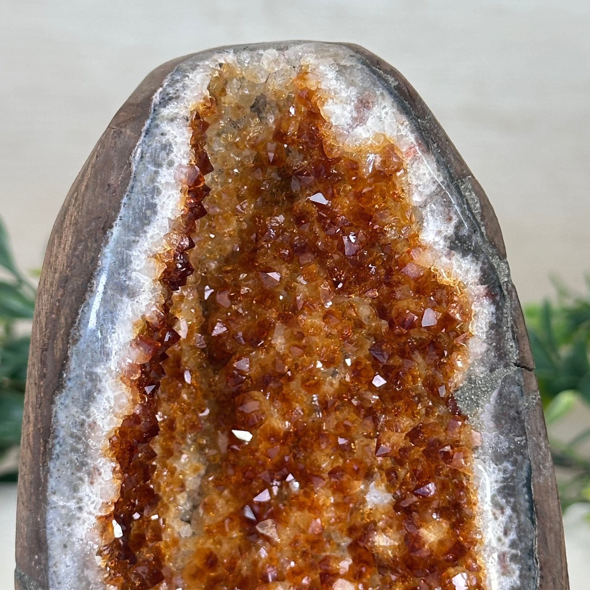 Extra Plus Quality Citrine Cluster w/ flat base, 5.6" Tall 5612 - 0238 - Brazil GemsBrazil GemsExtra Plus Quality Citrine Cluster w/ flat base, 5.6" Tall 5612 - 0238Small Clusters with Flat Bases5612 - 0238