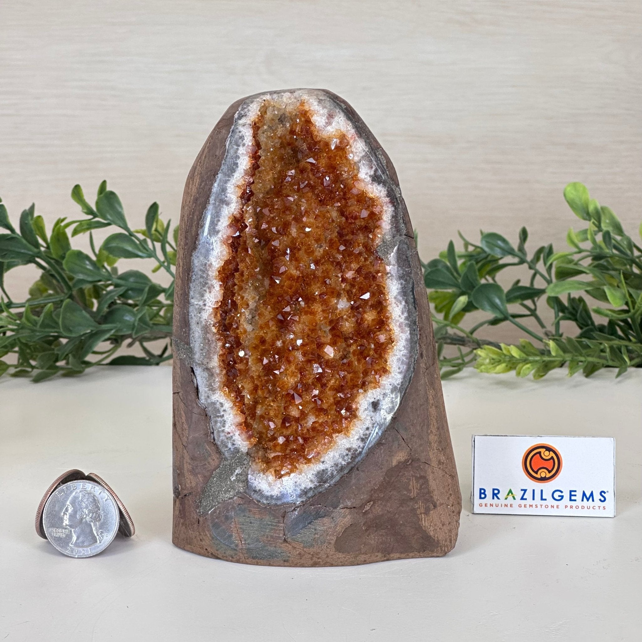 Extra Plus Quality Citrine Cluster w/ flat base, 5.6" Tall 5612 - 0238 - Brazil GemsBrazil GemsExtra Plus Quality Citrine Cluster w/ flat base, 5.6" Tall 5612 - 0238Small Clusters with Flat Bases5612 - 0238