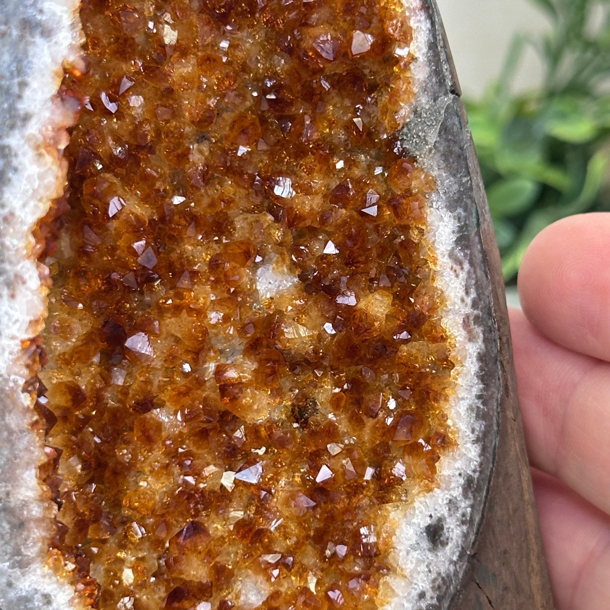 Extra Plus Quality Citrine Cluster w/ flat base, 5.6" Tall 5612 - 0238 - Brazil GemsBrazil GemsExtra Plus Quality Citrine Cluster w/ flat base, 5.6" Tall 5612 - 0238Small Clusters with Flat Bases5612 - 0238