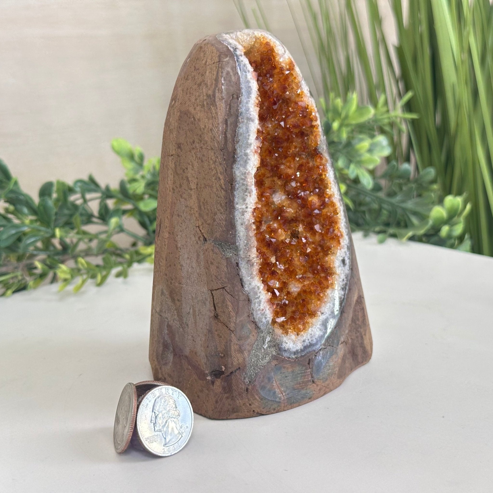 Extra Plus Quality Citrine Cluster w/ flat base, 5.6" Tall 5612 - 0238 - Brazil GemsBrazil GemsExtra Plus Quality Citrine Cluster w/ flat base, 5.6" Tall 5612 - 0238Small Clusters with Flat Bases5612 - 0238