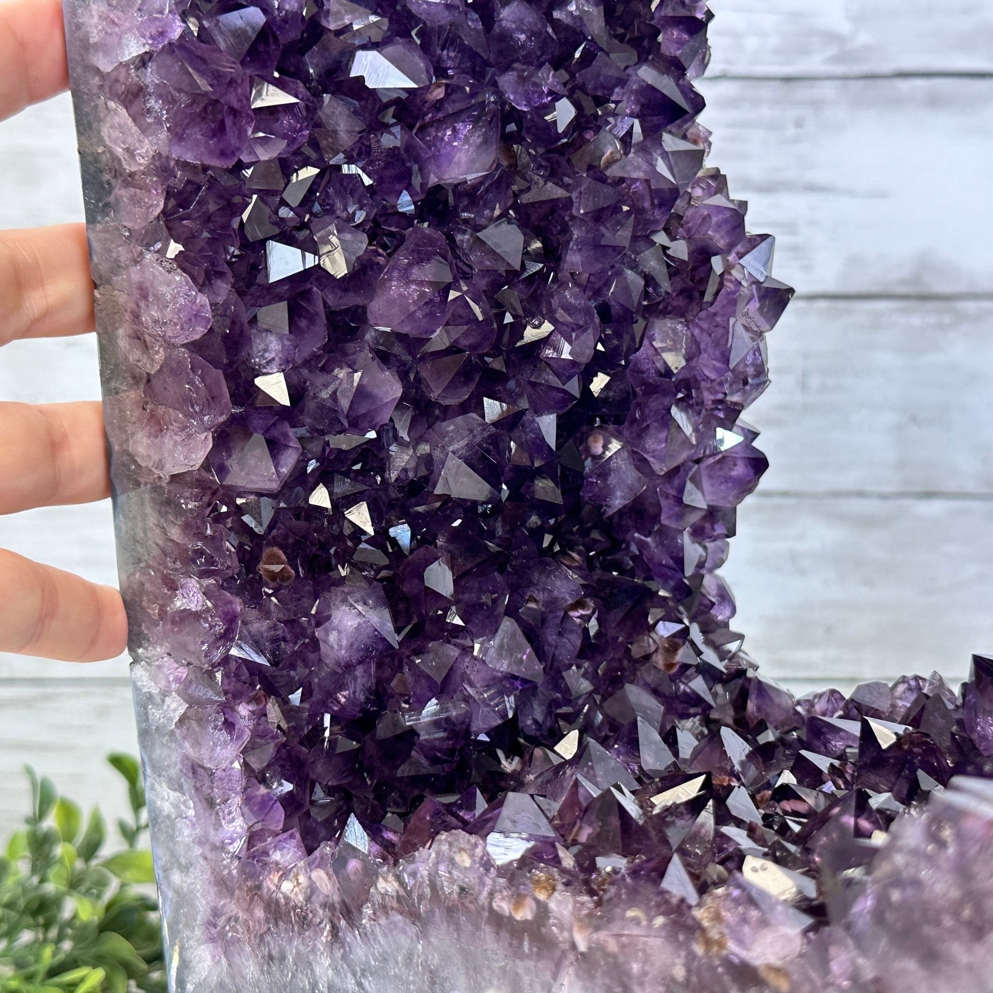 Extra Plus Quality Open 2 - Sided Amethyst Cathedral 72.8 lbs & 29.7" Tall #5605 - 0146 - Brazil GemsBrazil GemsExtra Plus Quality Open 2 - Sided Amethyst Cathedral 72.8 lbs & 29.7" Tall #5605 - 0146Open 2 - Sided Cathedrals5605 - 0146