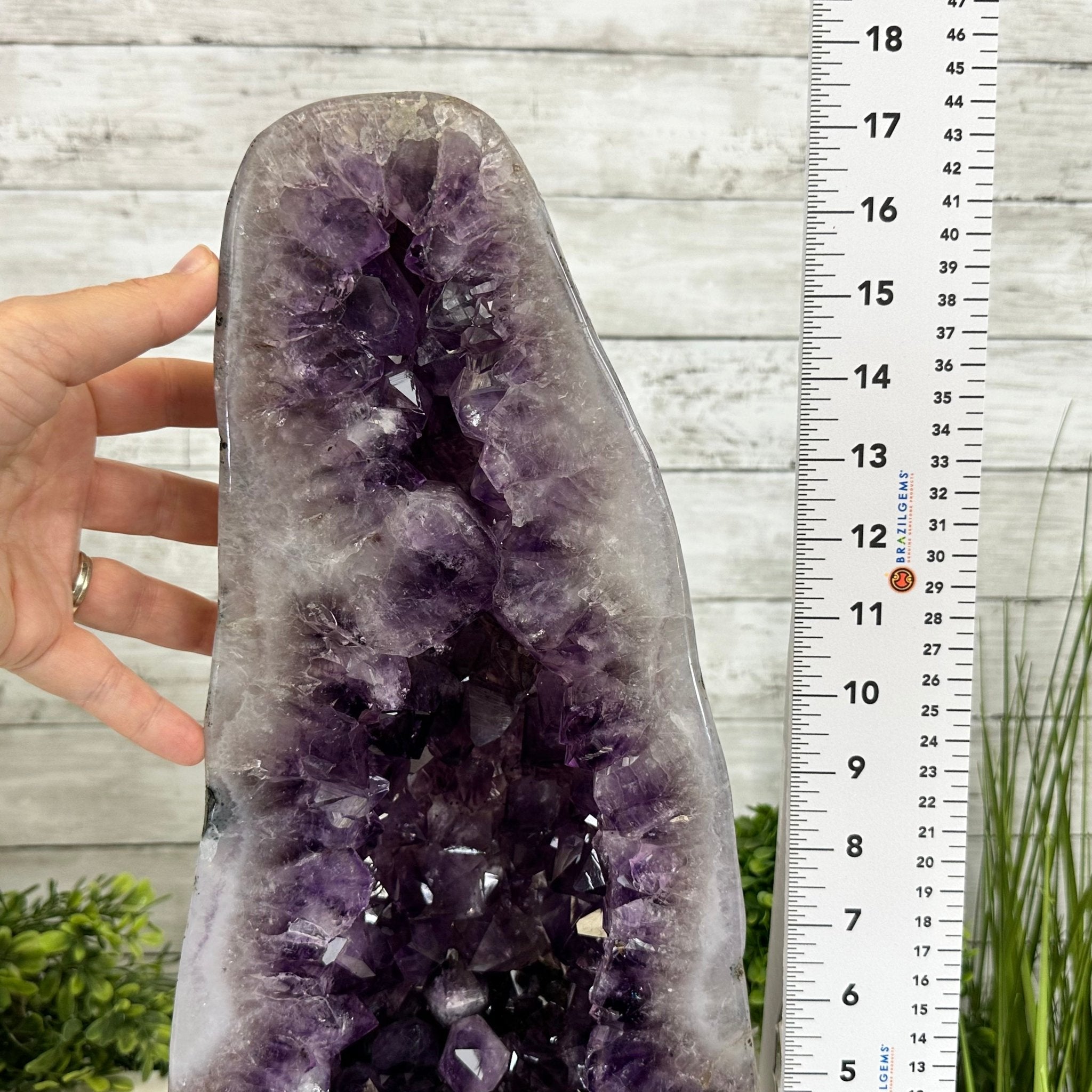 Extra Plus Quality Polished Brazilian Amethyst Cathedral, 27.8 lbs & 17.1" tall Model #5602-0156 by Brazil Gems - Brazil GemsBrazil GemsExtra Plus Quality Polished Brazilian Amethyst Cathedral, 27.8 lbs & 17.1" tall Model #5602-0156 by Brazil GemsPolished Cathedrals5602-0156