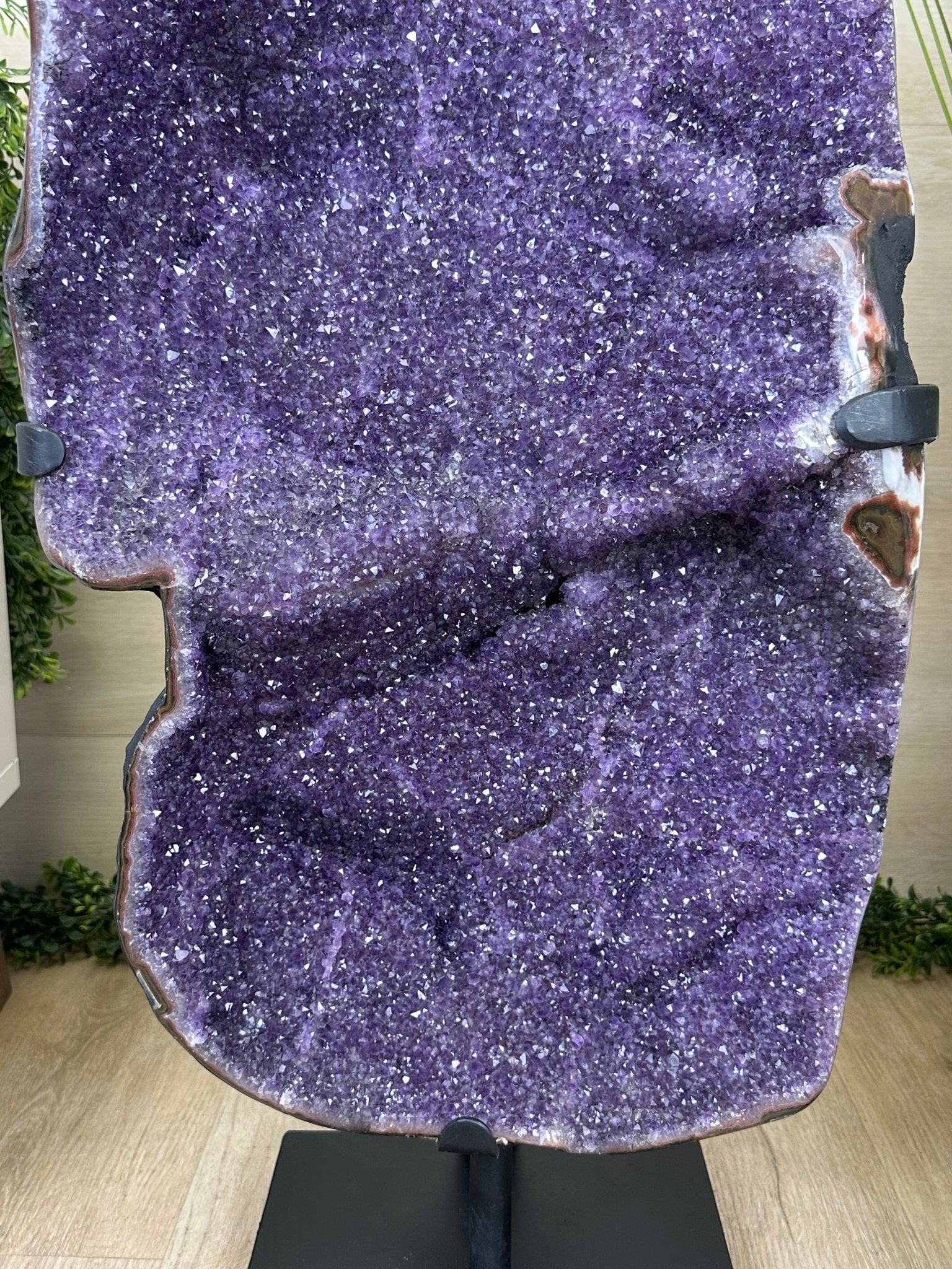 Extra Plus Uruguayan Amethyst Cluster on a Metal Base, 72.5 lbs & 32.6" Tall, #5491 - 0248 - Brazil GemsBrazil GemsExtra Plus Uruguayan Amethyst Cluster on a Metal Base, 72.5 lbs & 32.6" Tall, #5491 - 0248Clusters on Fixed Bases5491 - 0248