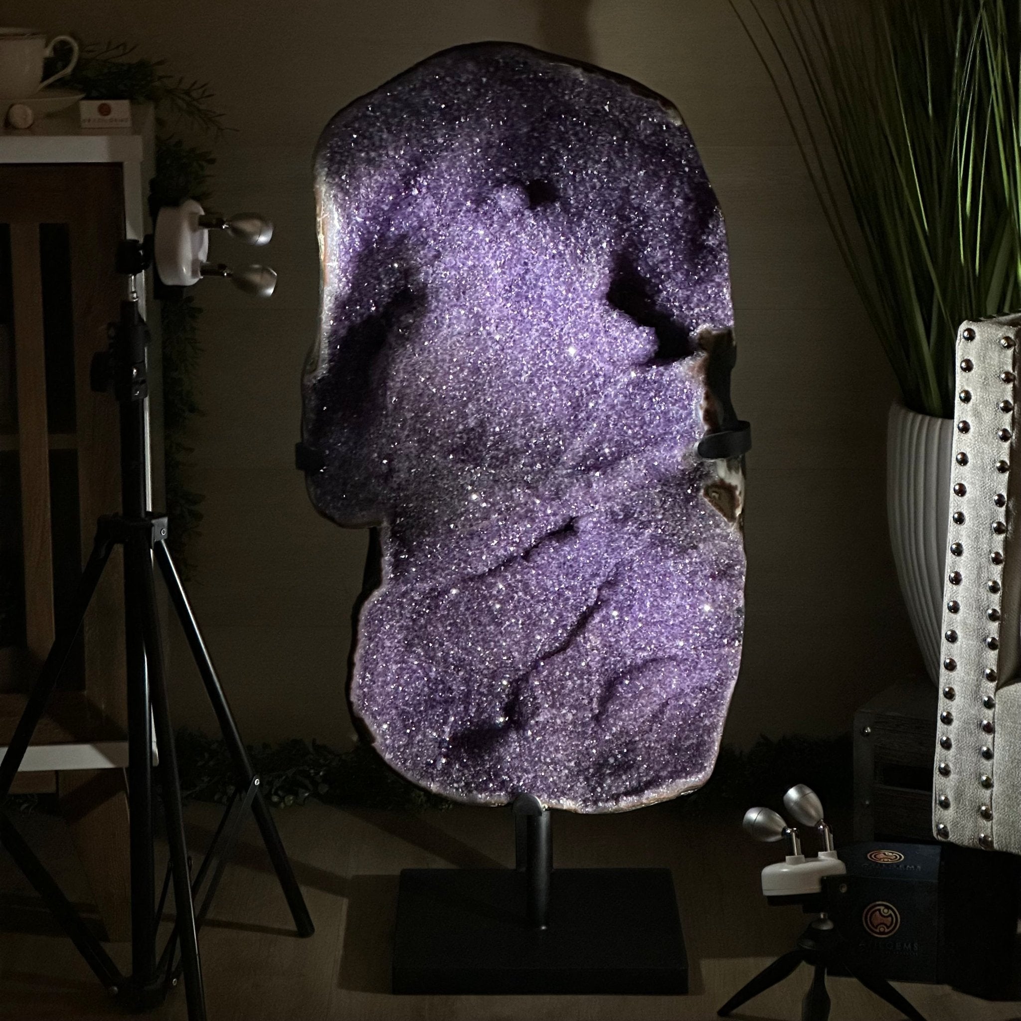 Extra Plus Uruguayan Amethyst Cluster on a Metal Base, 72.5 lbs & 32.6" Tall, #5491 - 0248 - Brazil GemsBrazil GemsExtra Plus Uruguayan Amethyst Cluster on a Metal Base, 72.5 lbs & 32.6" Tall, #5491 - 0248Clusters on Fixed Bases5491 - 0248