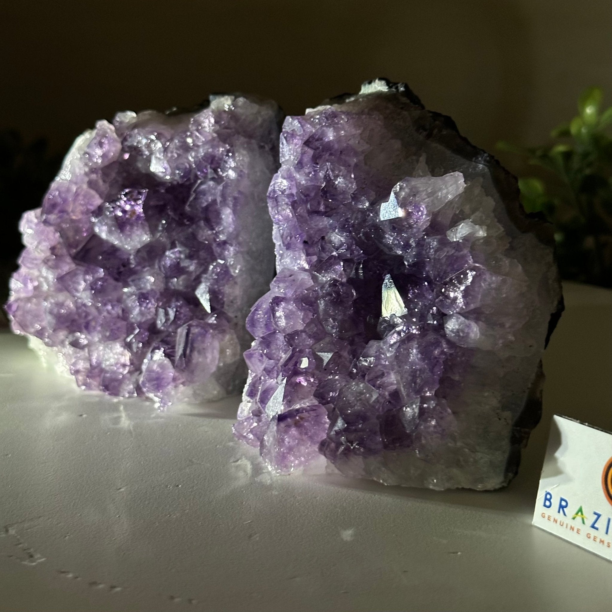 Extra Quality Amethyst Bookends, 3.1 lbs & 3.8" Tall 5151AM - 072 - Brazil GemsBrazil GemsExtra Quality Amethyst Bookends, 3.1 lbs & 3.8" Tall 5151AM - 072Bookends5151AM - 072