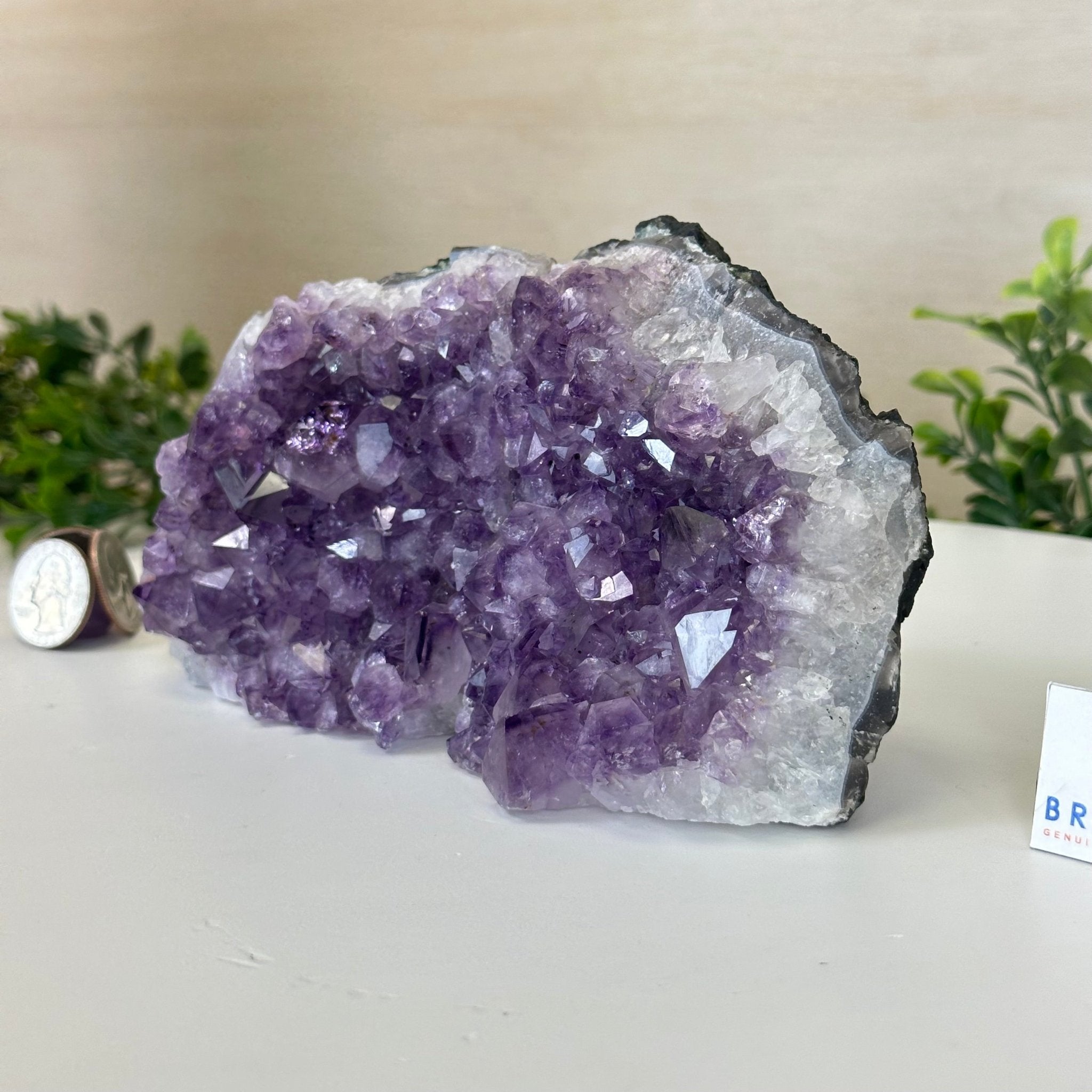 Extra Quality Amethyst Bookends, 3.1 lbs & 3.8" Tall 5151AM - 072 - Brazil GemsBrazil GemsExtra Quality Amethyst Bookends, 3.1 lbs & 3.8" Tall 5151AM - 072Bookends5151AM - 072