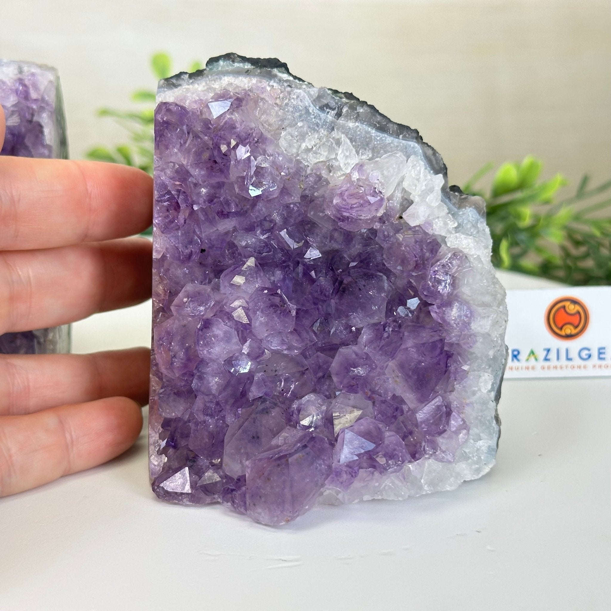Extra Quality Amethyst Bookends, 3.1 lbs & 3.8" Tall 5151AM - 072 - Brazil GemsBrazil GemsExtra Quality Amethyst Bookends, 3.1 lbs & 3.8" Tall 5151AM - 072Bookends5151AM - 072