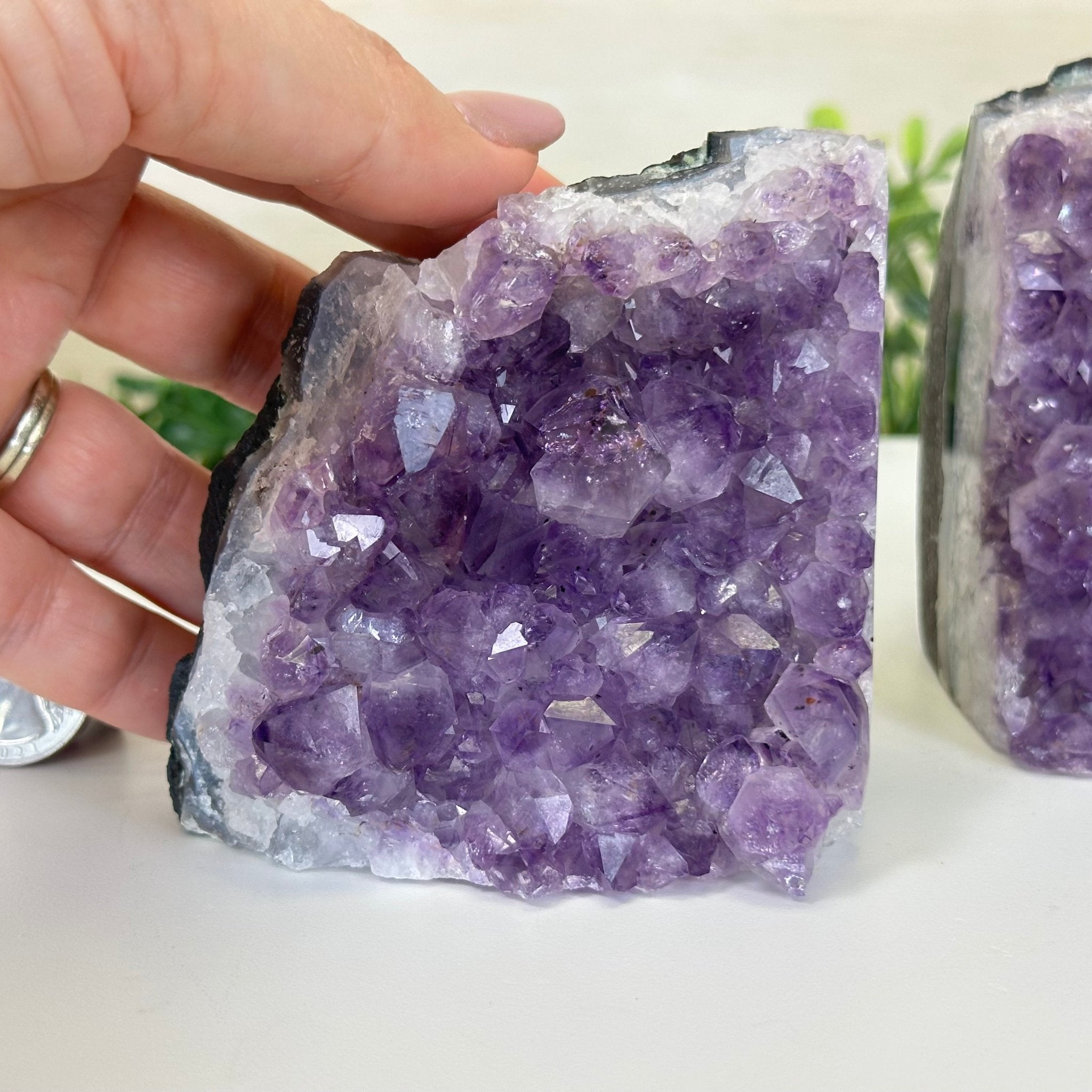 Extra Quality Amethyst Bookends, 3.1 lbs & 3.8" Tall 5151AM - 072 - Brazil GemsBrazil GemsExtra Quality Amethyst Bookends, 3.1 lbs & 3.8" Tall 5151AM - 072Bookends5151AM - 072