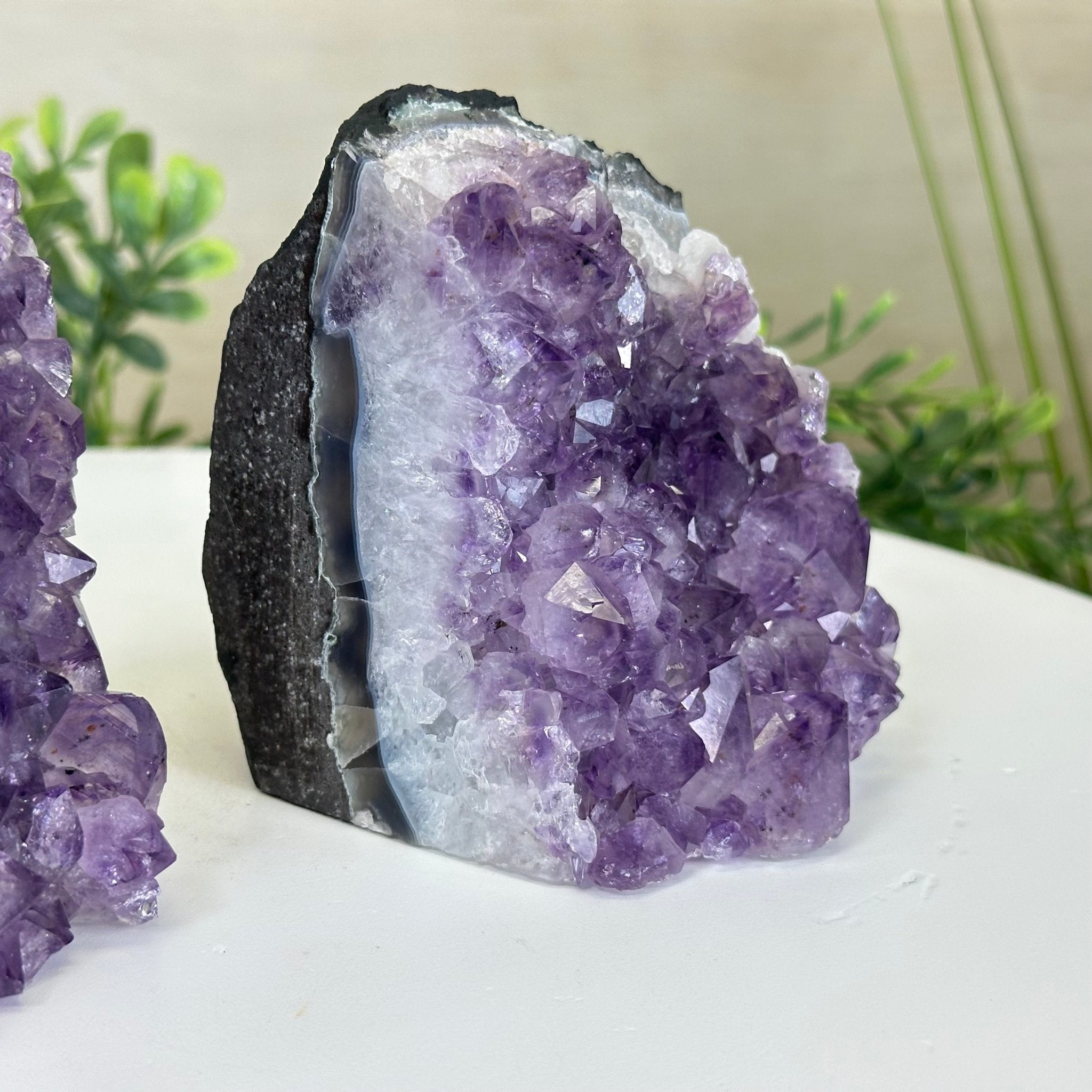 Extra Quality Amethyst Bookends, 3.1 lbs & 3.8" Tall 5151AM - 072 - Brazil GemsBrazil GemsExtra Quality Amethyst Bookends, 3.1 lbs & 3.8" Tall 5151AM - 072Bookends5151AM - 072