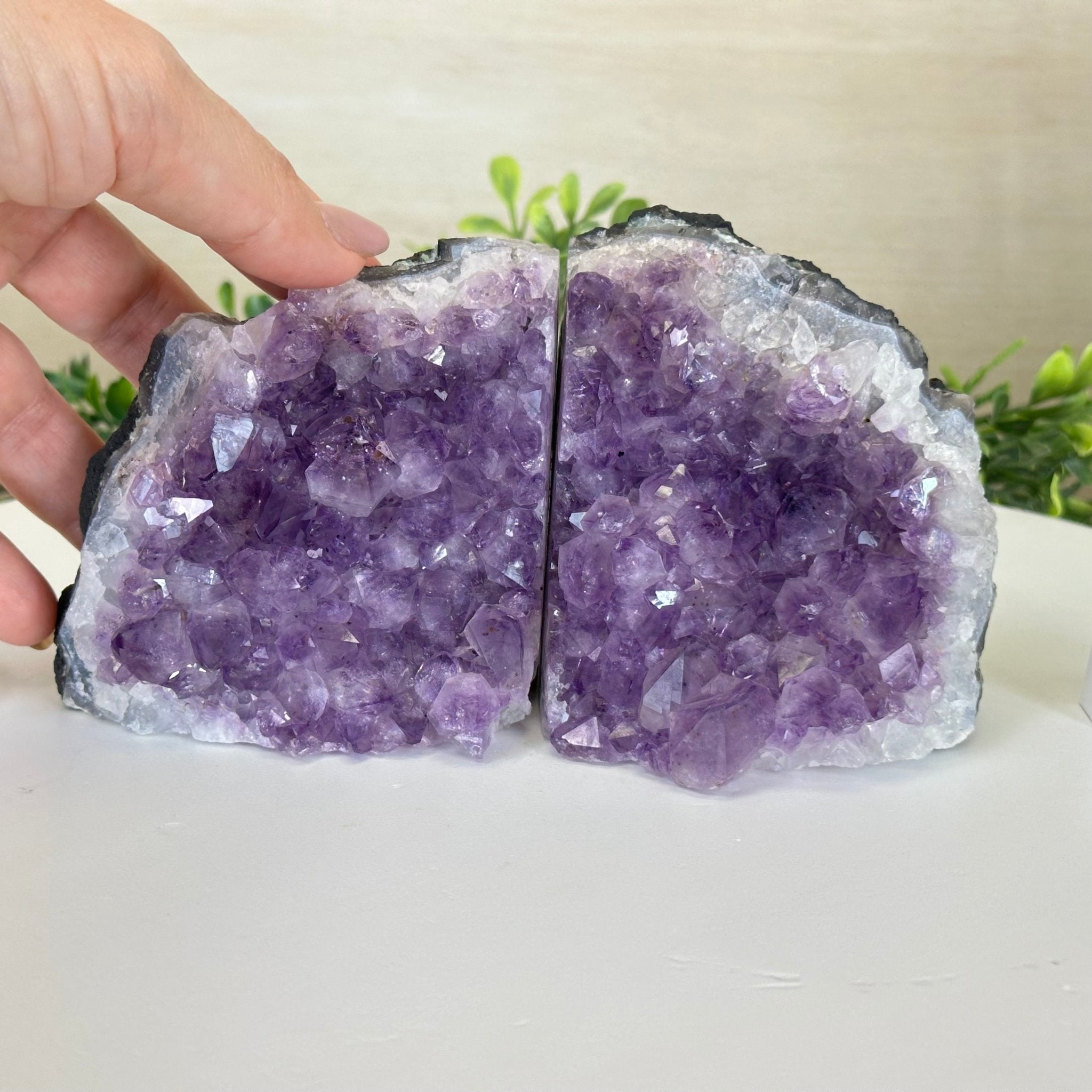 Extra Quality Amethyst Bookends, 3.1 lbs & 3.8" Tall 5151AM - 072 - Brazil GemsBrazil GemsExtra Quality Amethyst Bookends, 3.1 lbs & 3.8" Tall 5151AM - 072Bookends5151AM - 072