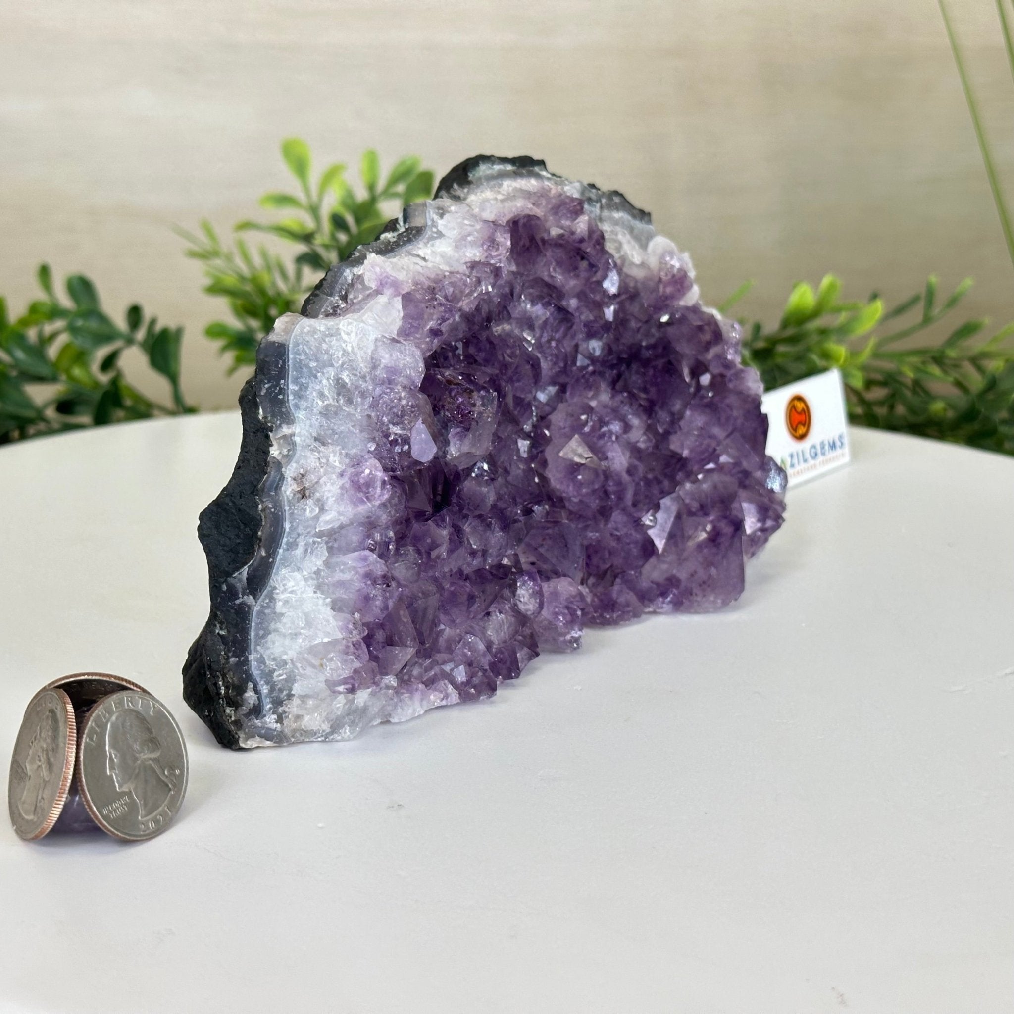 Extra Quality Amethyst Bookends, 3.1 lbs & 3.8" Tall 5151AM - 072 - Brazil GemsBrazil GemsExtra Quality Amethyst Bookends, 3.1 lbs & 3.8" Tall 5151AM - 072Bookends5151AM - 072