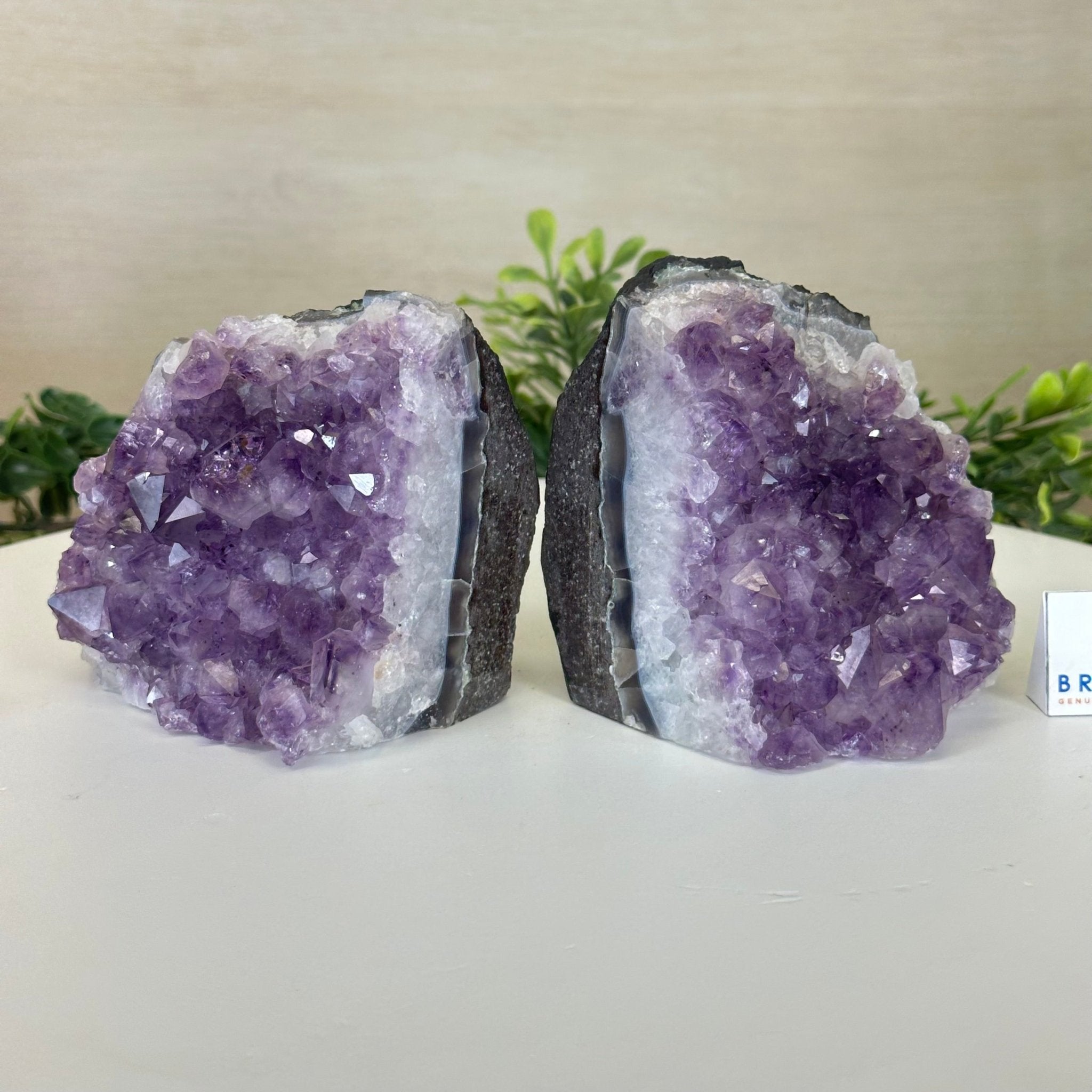 Extra Quality Amethyst Bookends, 3.1 lbs & 3.8" Tall 5151AM - 072 - Brazil GemsBrazil GemsExtra Quality Amethyst Bookends, 3.1 lbs & 3.8" Tall 5151AM - 072Bookends5151AM - 072