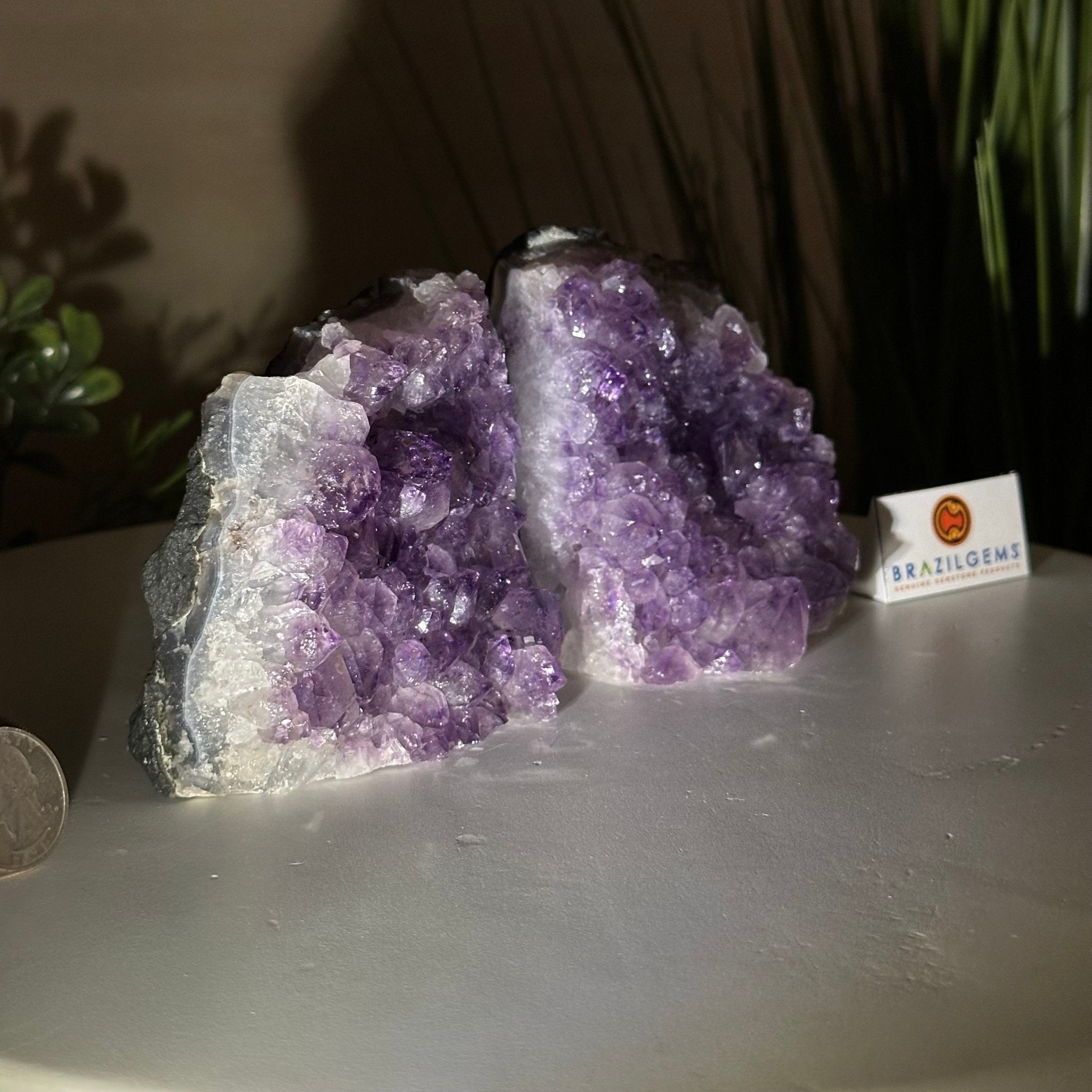 Extra Quality Amethyst Bookends, 3.1 lbs & 3.8" Tall 5151AM - 072 - Brazil GemsBrazil GemsExtra Quality Amethyst Bookends, 3.1 lbs & 3.8" Tall 5151AM - 072Bookends5151AM - 072