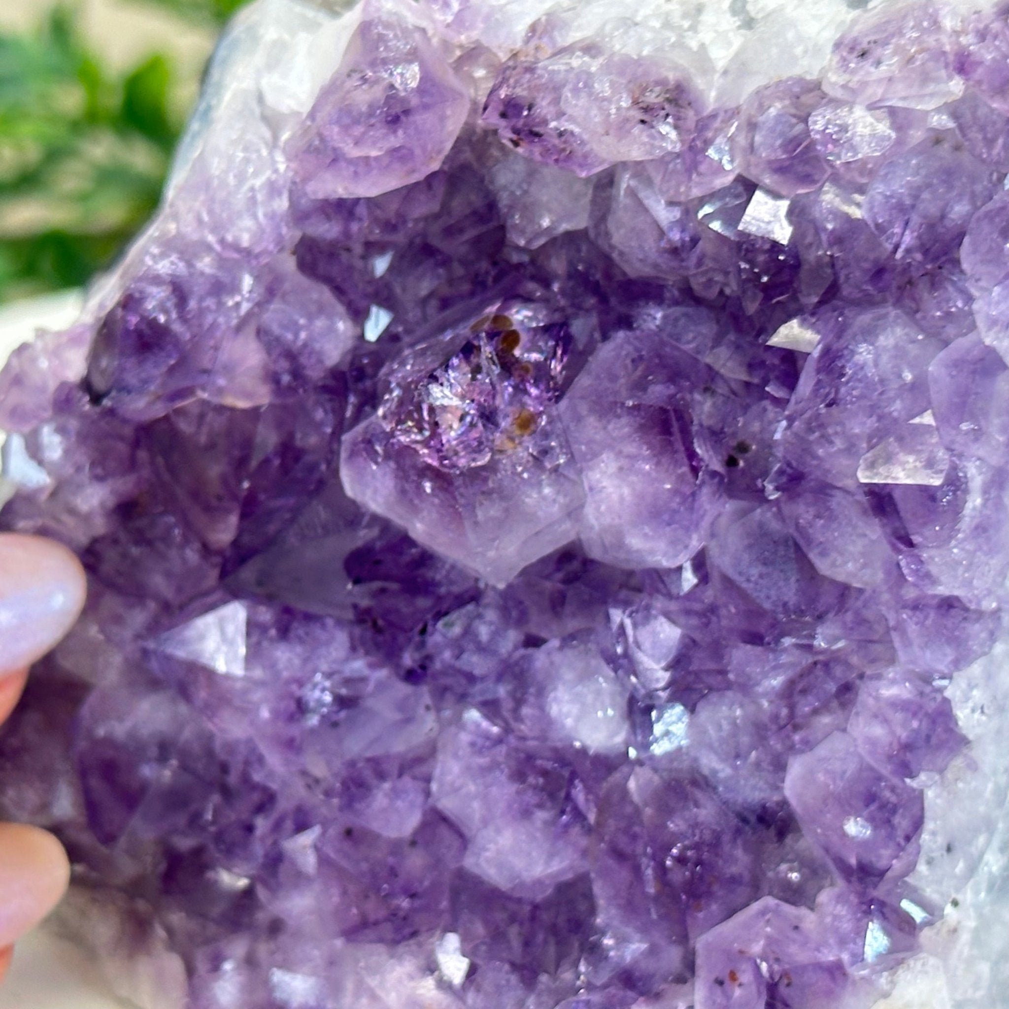 Extra Quality Amethyst Bookends, 3.1 lbs & 3.8" Tall 5151AM - 072 - Brazil GemsBrazil GemsExtra Quality Amethyst Bookends, 3.1 lbs & 3.8" Tall 5151AM - 072Bookends5151AM - 072