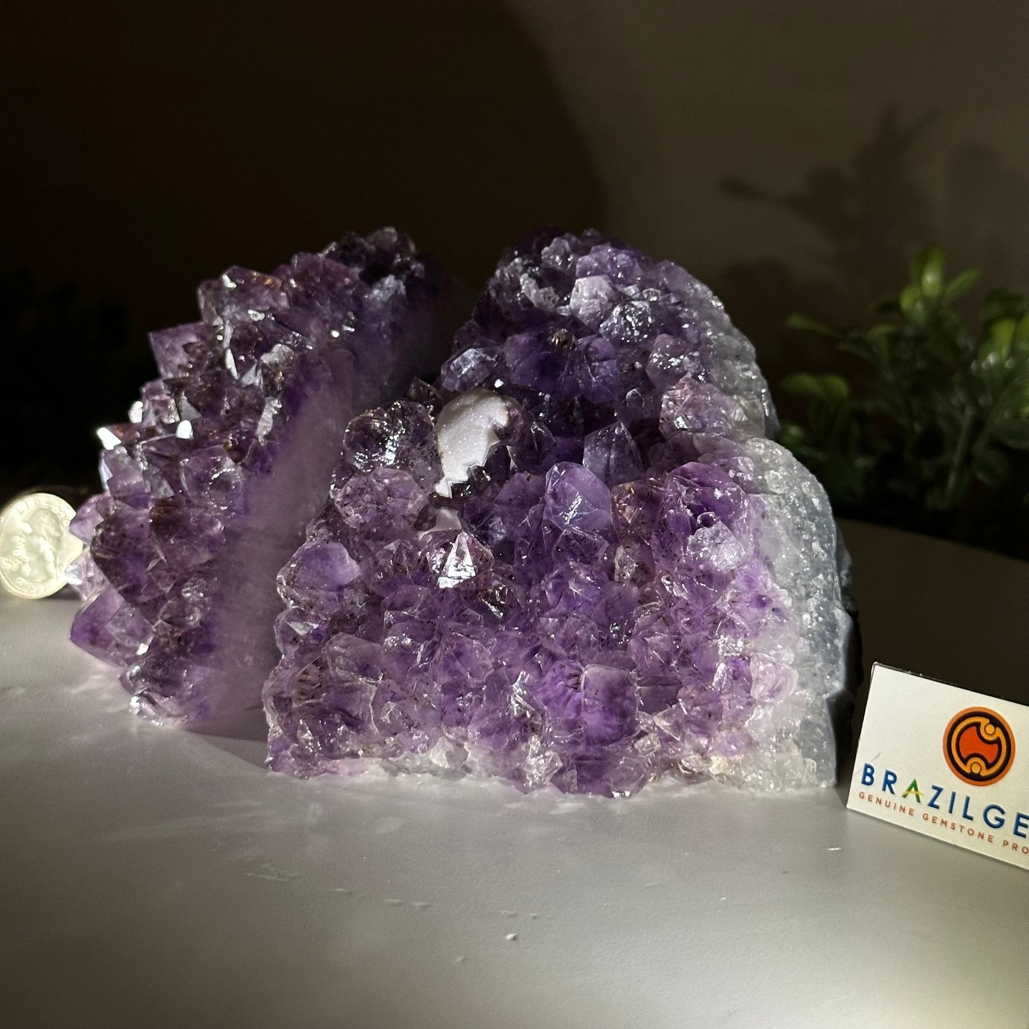 Extra Quality Amethyst Bookends, 4.3 lbs & 3.7" Tall 5151AM - 073 - Brazil GemsBrazil GemsExtra Quality Amethyst Bookends, 4.3 lbs & 3.7" Tall 5151AM - 073Bookends5151AM - 073