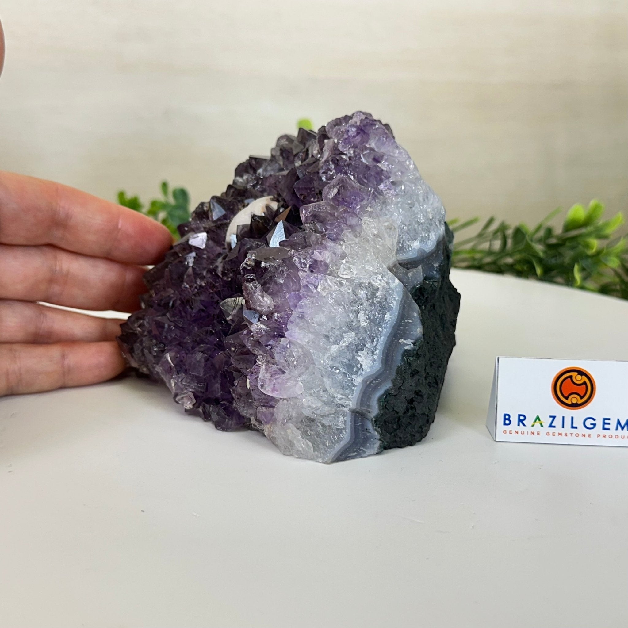 Extra Quality Amethyst Bookends, 4.3 lbs & 3.7" Tall 5151AM - 073 - Brazil GemsBrazil GemsExtra Quality Amethyst Bookends, 4.3 lbs & 3.7" Tall 5151AM - 073Bookends5151AM - 073