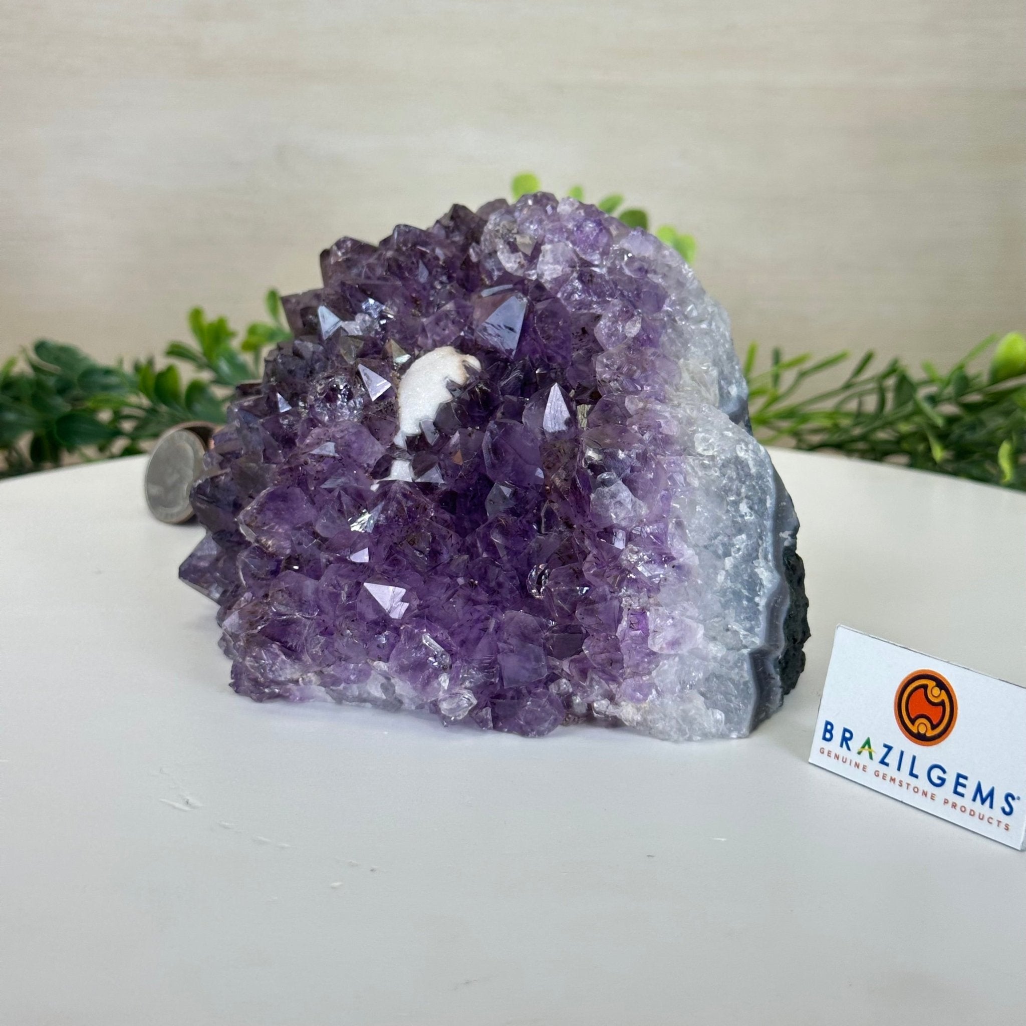 Extra Quality Amethyst Bookends, 4.3 lbs & 3.7" Tall 5151AM - 073 - Brazil GemsBrazil GemsExtra Quality Amethyst Bookends, 4.3 lbs & 3.7" Tall 5151AM - 073Bookends5151AM - 073