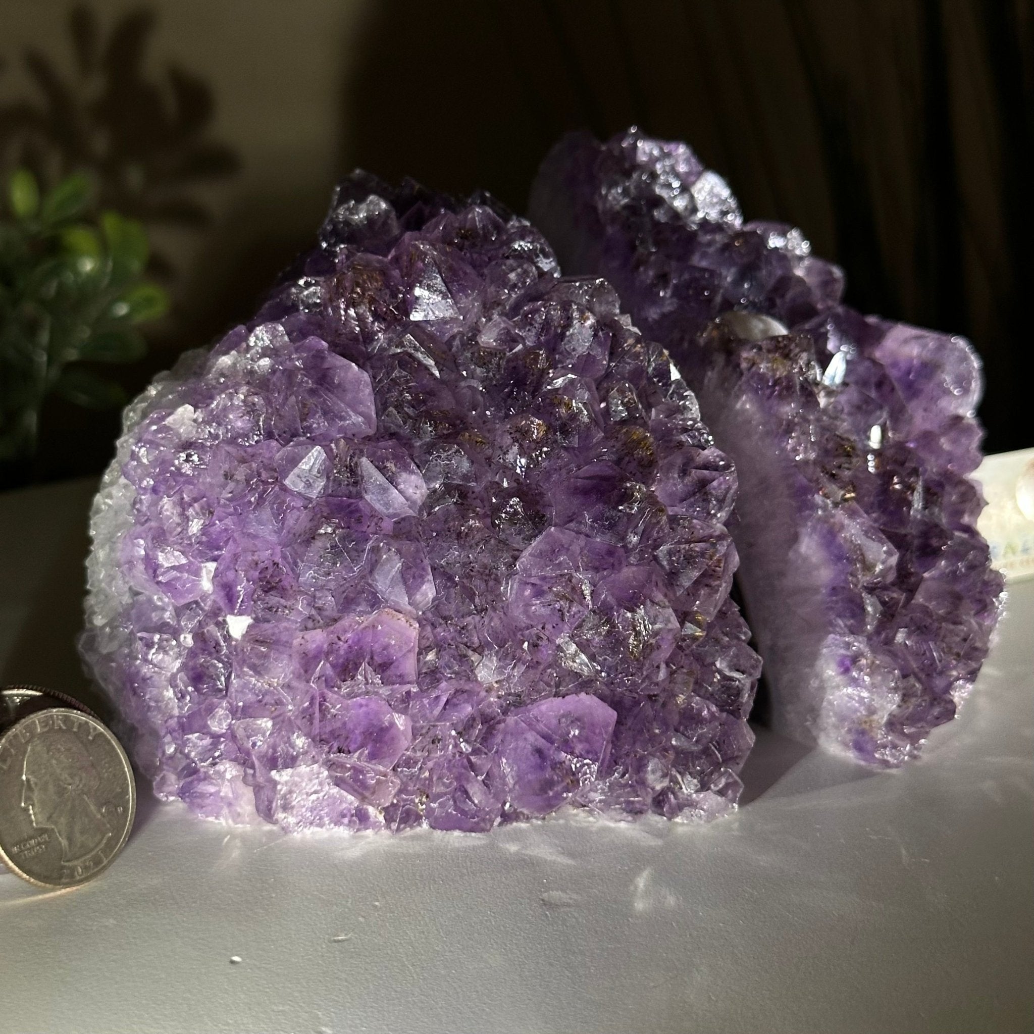 Extra Quality Amethyst Bookends, 4.3 lbs & 3.7" Tall 5151AM - 073 - Brazil GemsBrazil GemsExtra Quality Amethyst Bookends, 4.3 lbs & 3.7" Tall 5151AM - 073Bookends5151AM - 073