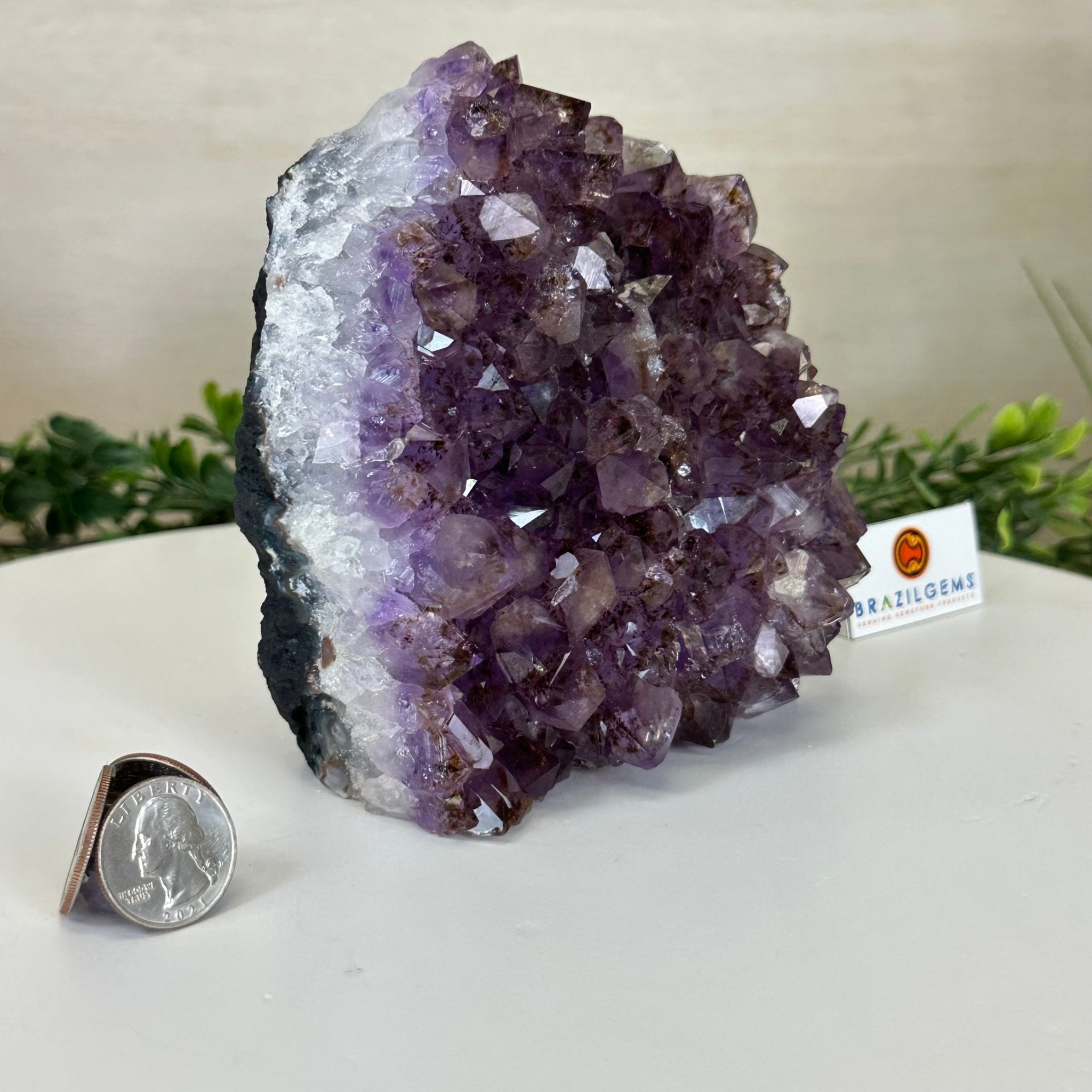 Extra Quality Amethyst Bookends, 4.5 lbs & 5.4" Tall 5151AM - 074 - Brazil GemsBrazil GemsExtra Quality Amethyst Bookends, 4.5 lbs & 5.4" Tall 5151AM - 074Bookends5151AM - 074