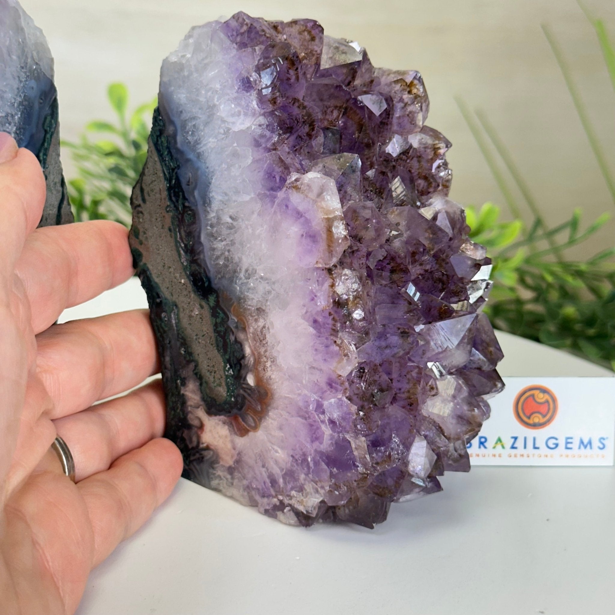 Extra Quality Amethyst Bookends, 4.5 lbs & 5.4" Tall 5151AM - 074 - Brazil GemsBrazil GemsExtra Quality Amethyst Bookends, 4.5 lbs & 5.4" Tall 5151AM - 074Bookends5151AM - 074