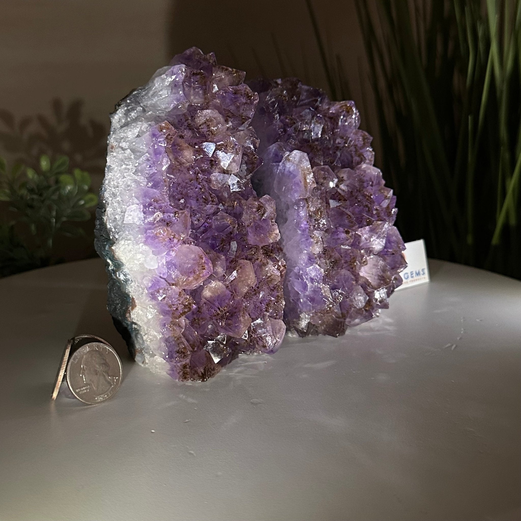 Extra Quality Amethyst Bookends, 4.5 lbs & 5.4" Tall 5151AM - 074 - Brazil GemsBrazil GemsExtra Quality Amethyst Bookends, 4.5 lbs & 5.4" Tall 5151AM - 074Bookends5151AM - 074