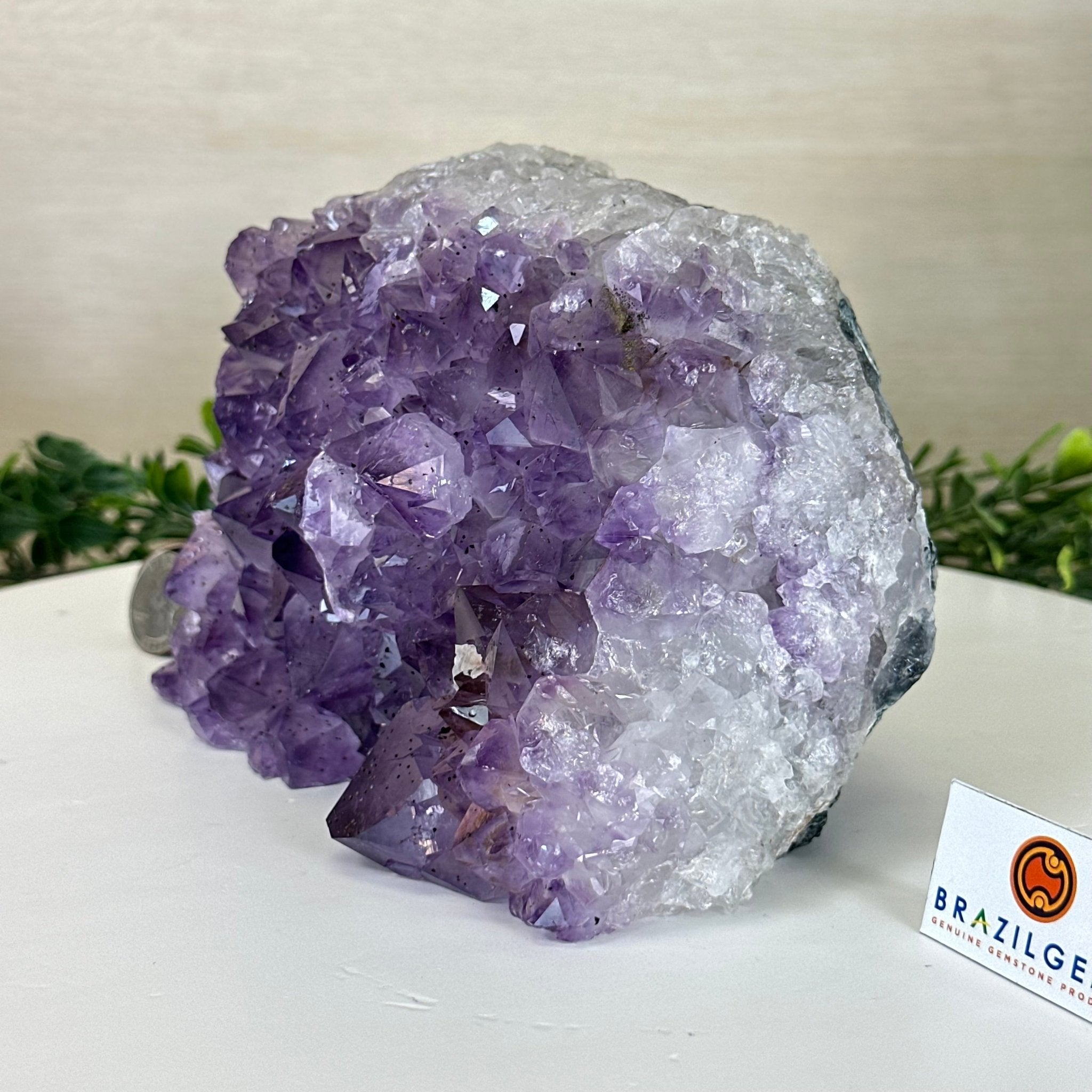 Extra Quality Amethyst Bookends, 6.6 lbs & 4.9" Tall 5151AM - 075 - Brazil GemsBrazil GemsExtra Quality Amethyst Bookends, 6.6 lbs & 4.9" Tall 5151AM - 075Bookends5151AM - 075