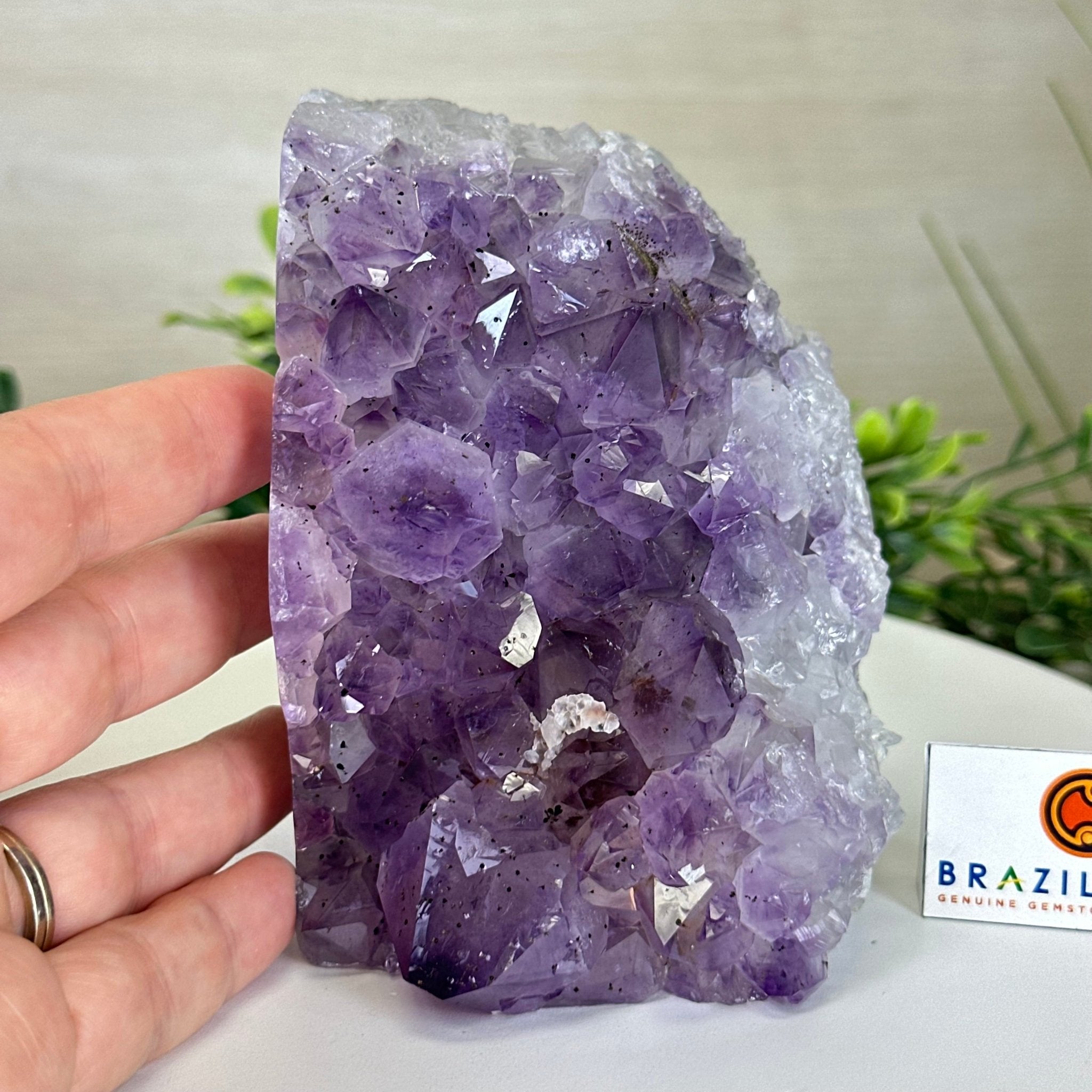 Extra Quality Amethyst Bookends, 6.6 lbs & 4.9" Tall 5151AM - 075 - Brazil GemsBrazil GemsExtra Quality Amethyst Bookends, 6.6 lbs & 4.9" Tall 5151AM - 075Bookends5151AM - 075
