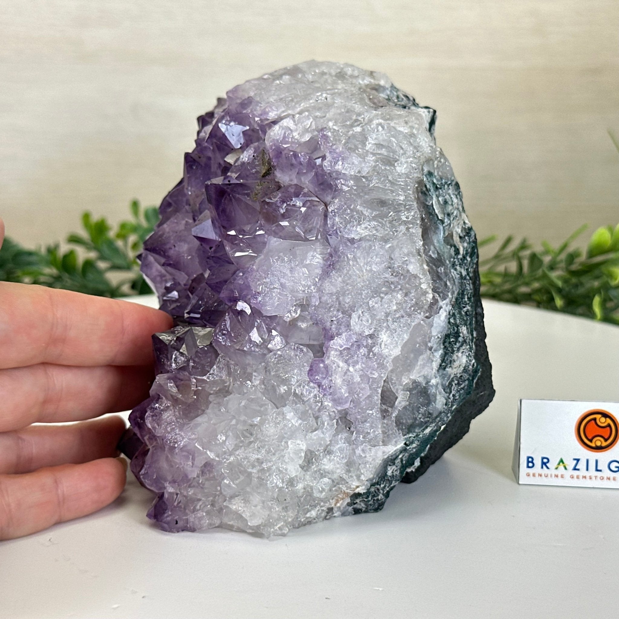 Extra Quality Amethyst Bookends, 6.6 lbs & 4.9" Tall 5151AM - 075 - Brazil GemsBrazil GemsExtra Quality Amethyst Bookends, 6.6 lbs & 4.9" Tall 5151AM - 075Bookends5151AM - 075