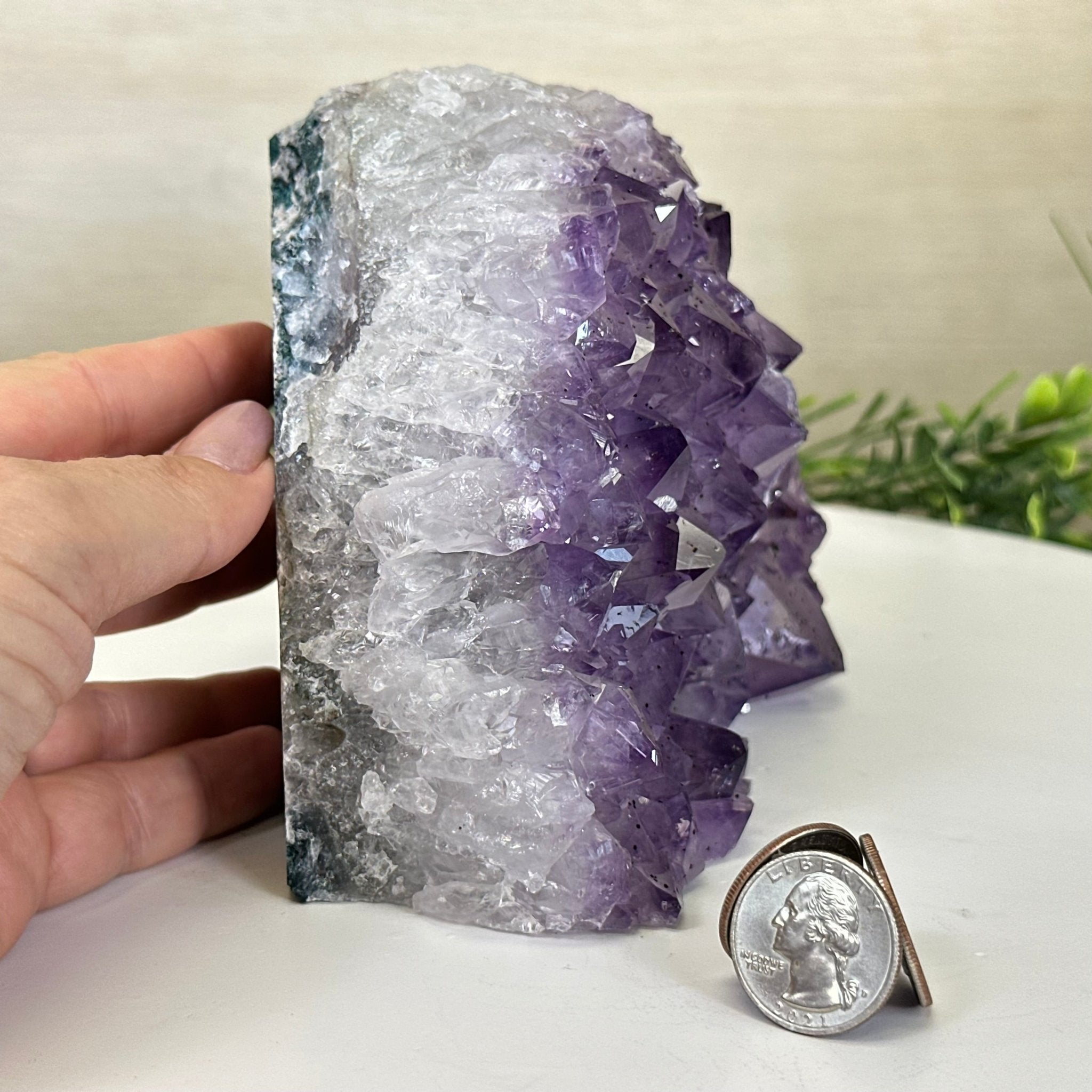 Extra Quality Amethyst Bookends, 6.6 lbs & 4.9" Tall 5151AM - 075 - Brazil GemsBrazil GemsExtra Quality Amethyst Bookends, 6.6 lbs & 4.9" Tall 5151AM - 075Bookends5151AM - 075