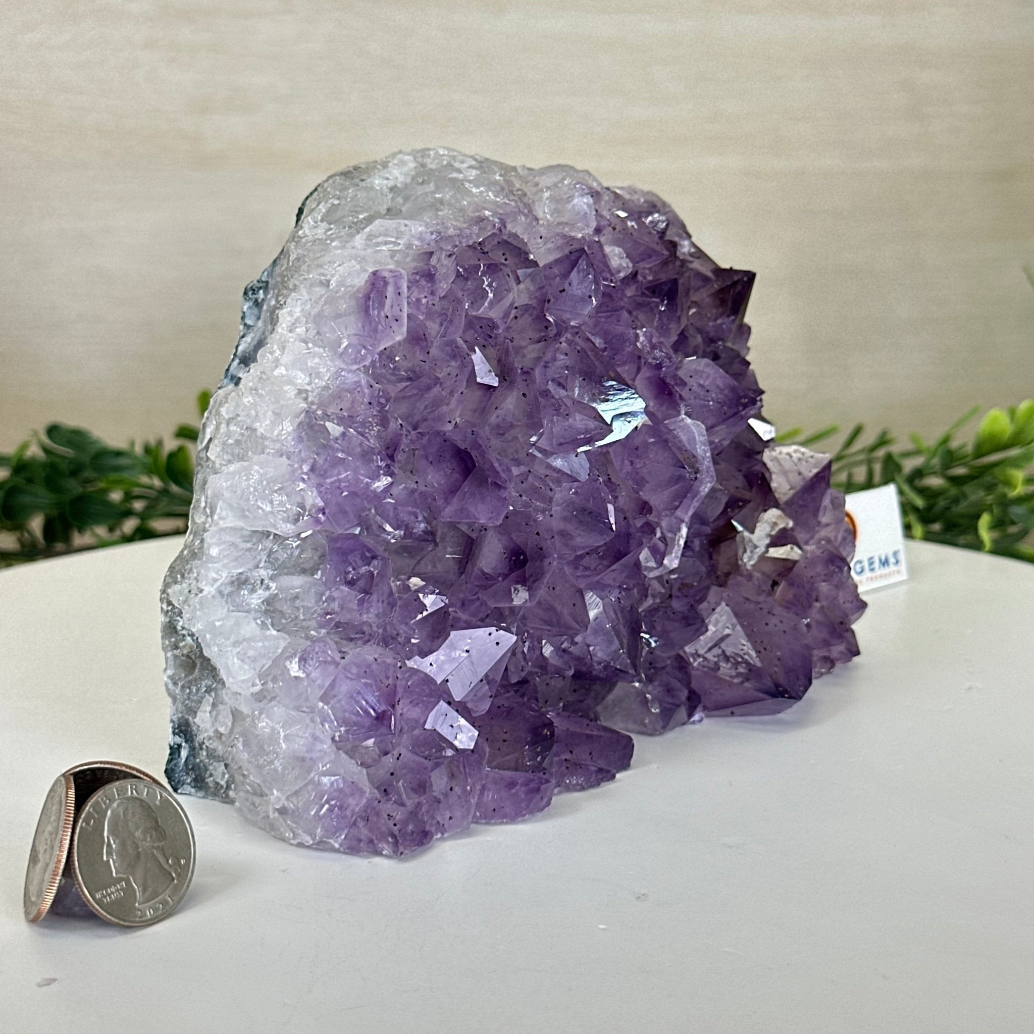 Extra Quality Amethyst Bookends, 6.6 lbs & 4.9" Tall 5151AM - 075 - Brazil GemsBrazil GemsExtra Quality Amethyst Bookends, 6.6 lbs & 4.9" Tall 5151AM - 075Bookends5151AM - 075