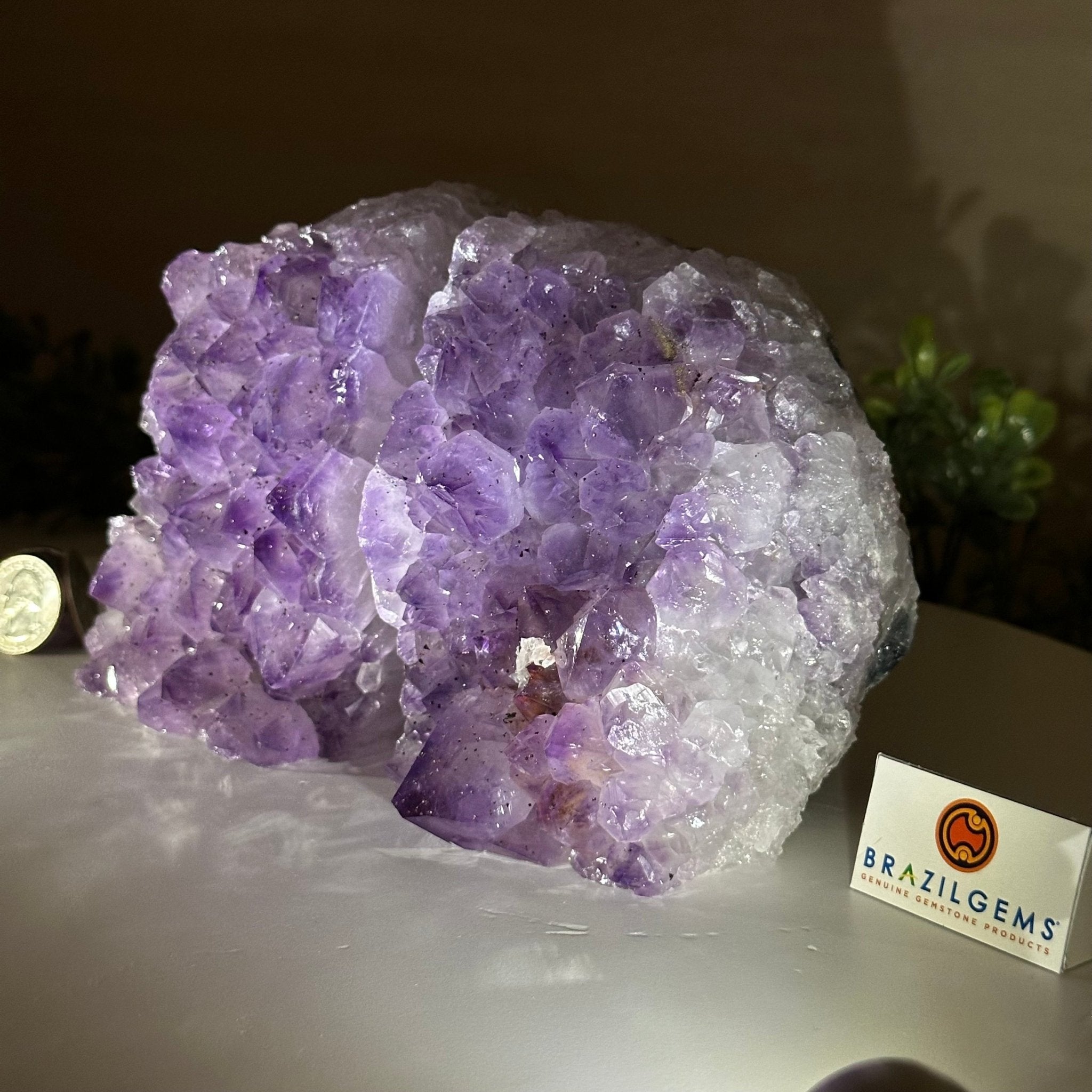 Extra Quality Amethyst Bookends, 6.6 lbs & 4.9" Tall 5151AM - 075 - Brazil GemsBrazil GemsExtra Quality Amethyst Bookends, 6.6 lbs & 4.9" Tall 5151AM - 075Bookends5151AM - 075