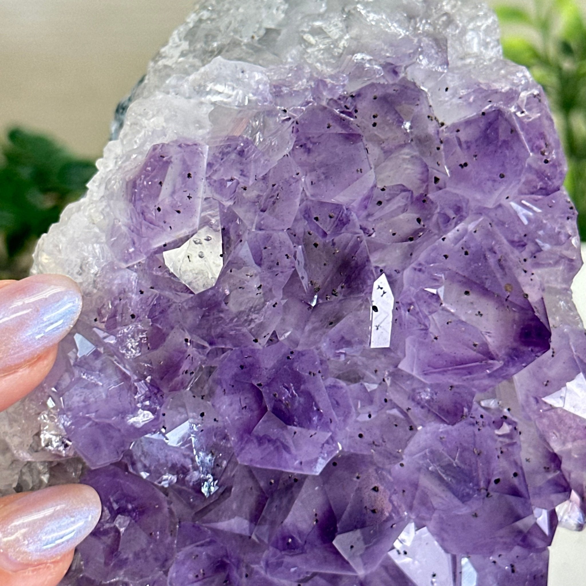 Extra Quality Amethyst Bookends, 6.6 lbs & 4.9" Tall 5151AM - 075 - Brazil GemsBrazil GemsExtra Quality Amethyst Bookends, 6.6 lbs & 4.9" Tall 5151AM - 075Bookends5151AM - 075