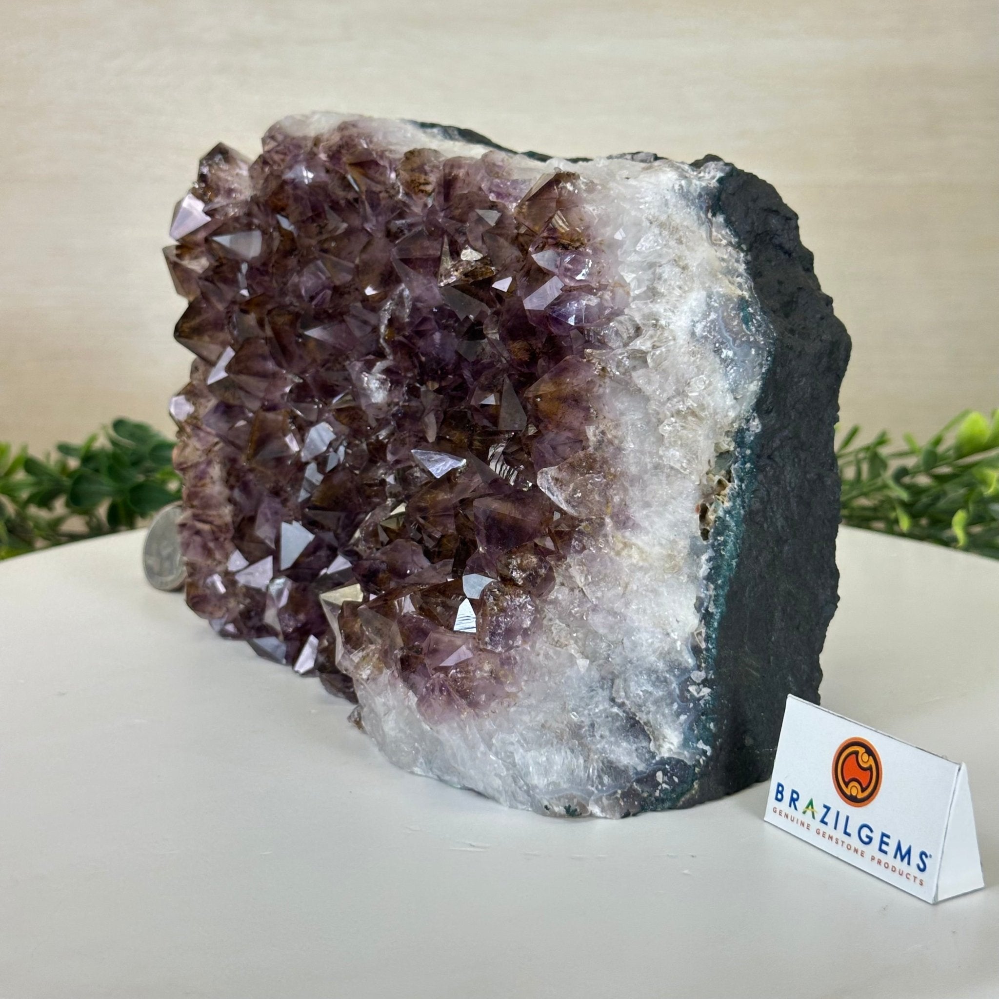 Extra Quality Amethyst Bookends, 8.5 lbs & 5.4" Tall 5151AM - 076 - Brazil GemsBrazil GemsExtra Quality Amethyst Bookends, 8.5 lbs & 5.4" Tall 5151AM - 076Bookends5151AM - 076