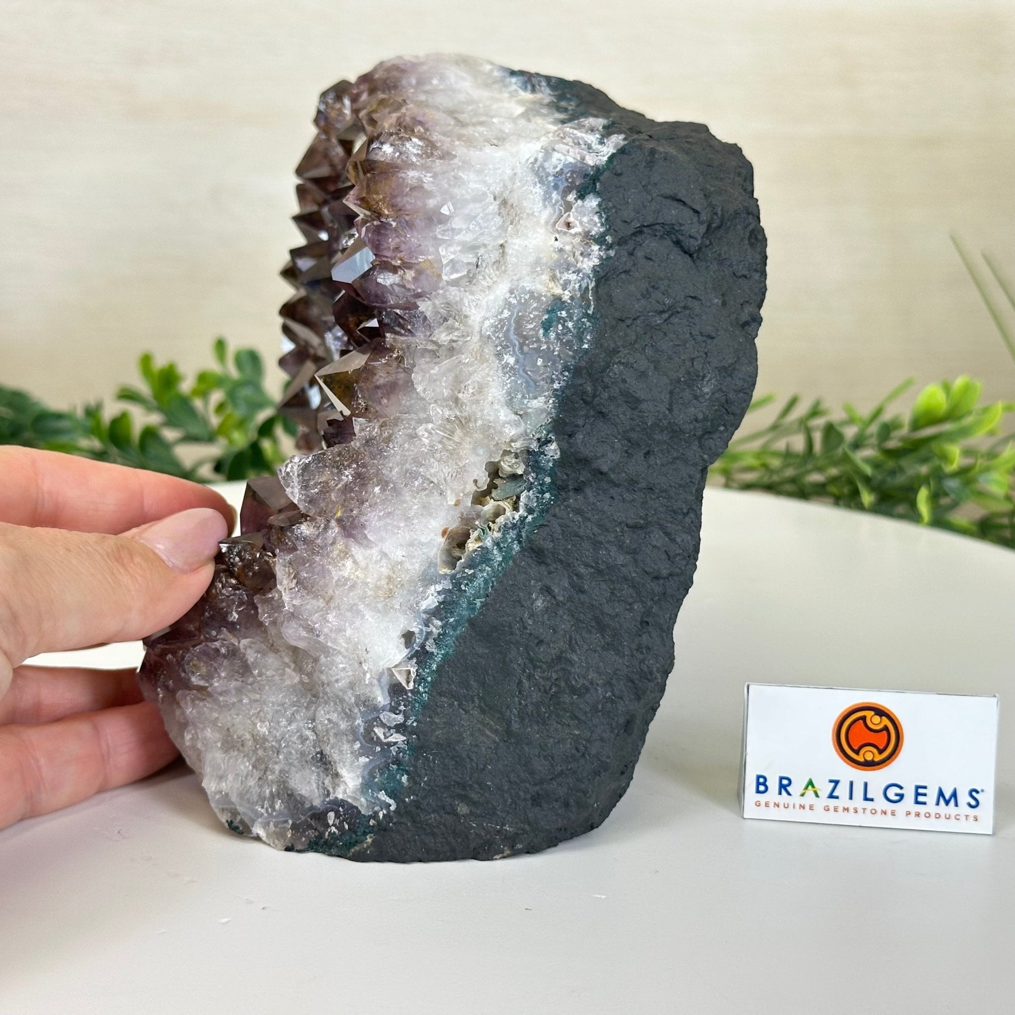 Extra Quality Amethyst Bookends, 8.5 lbs & 5.4" Tall 5151AM - 076 - Brazil GemsBrazil GemsExtra Quality Amethyst Bookends, 8.5 lbs & 5.4" Tall 5151AM - 076Bookends5151AM - 076